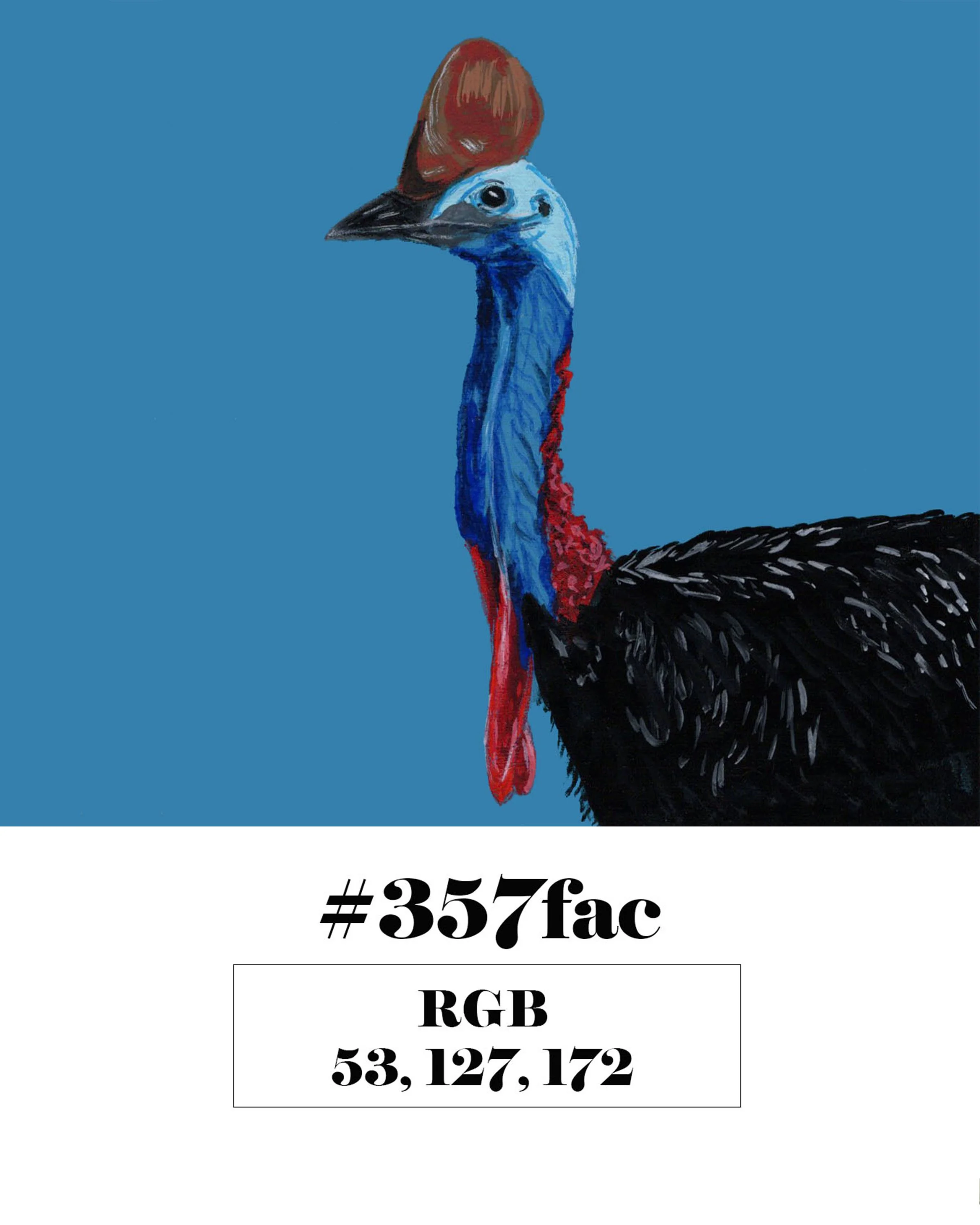 Cassowary