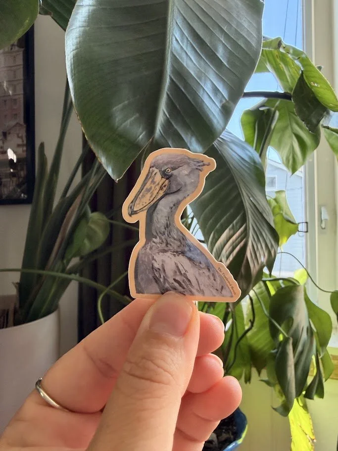 Color Bird Sticker
