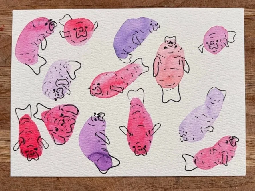 Manatees+photo.jpg