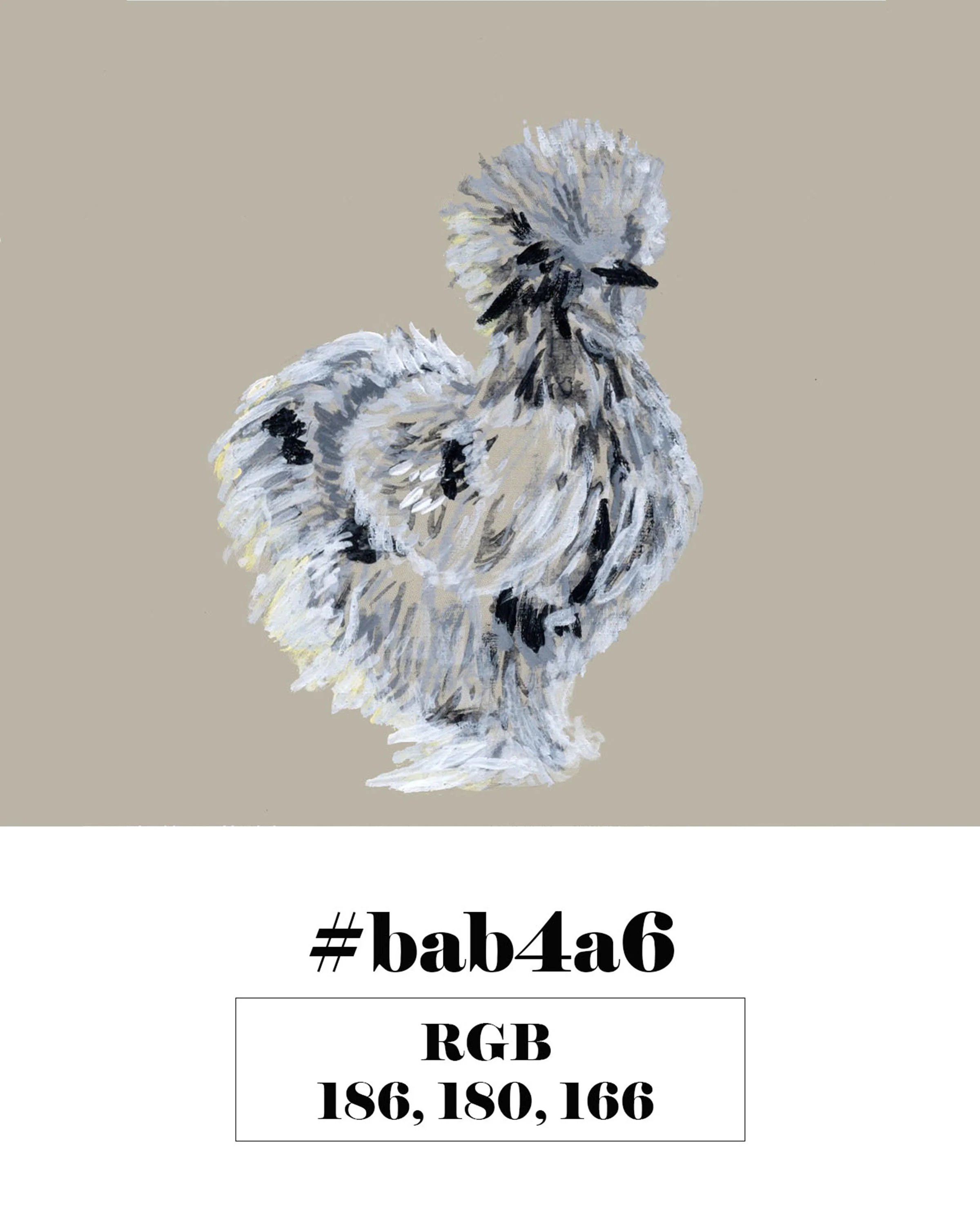 Silkie Chicken