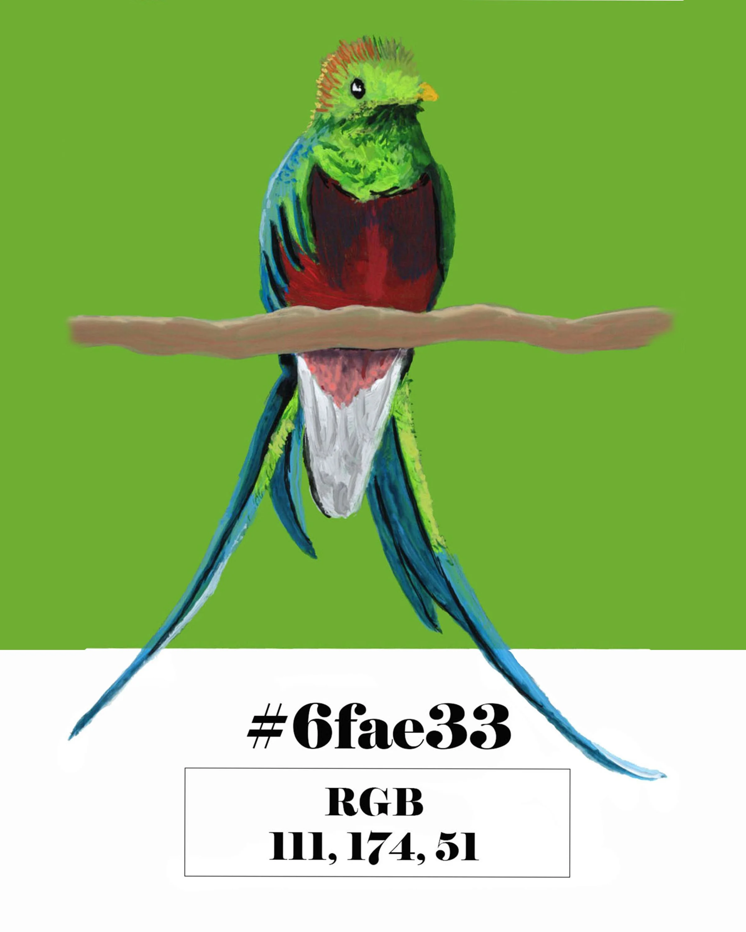Resplendent Quetzal