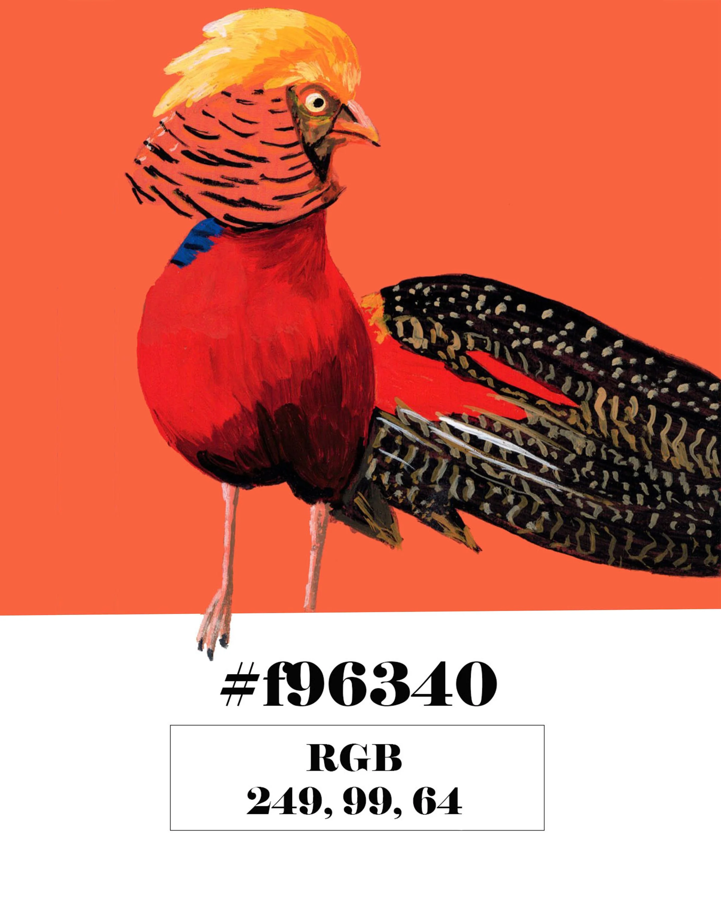 Golden Pheasant