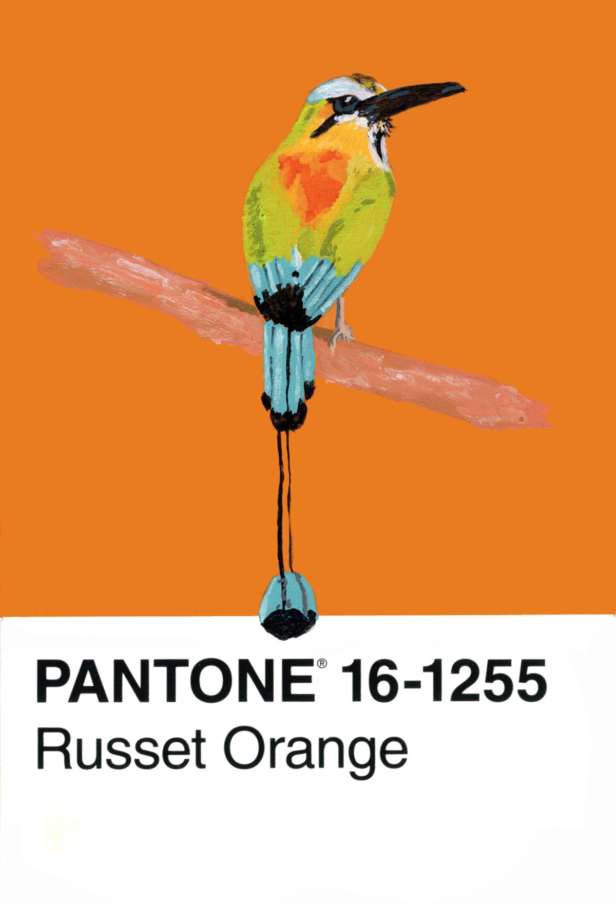 Turqoise-browed Motmot - 4x6.png