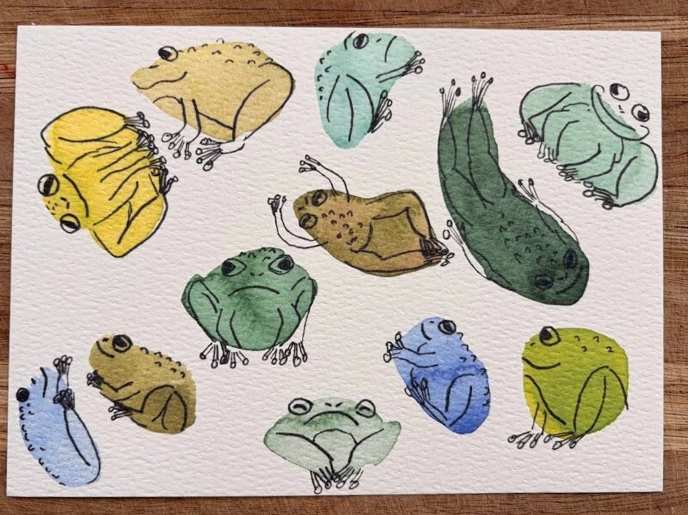 Frogs+photo.jpg