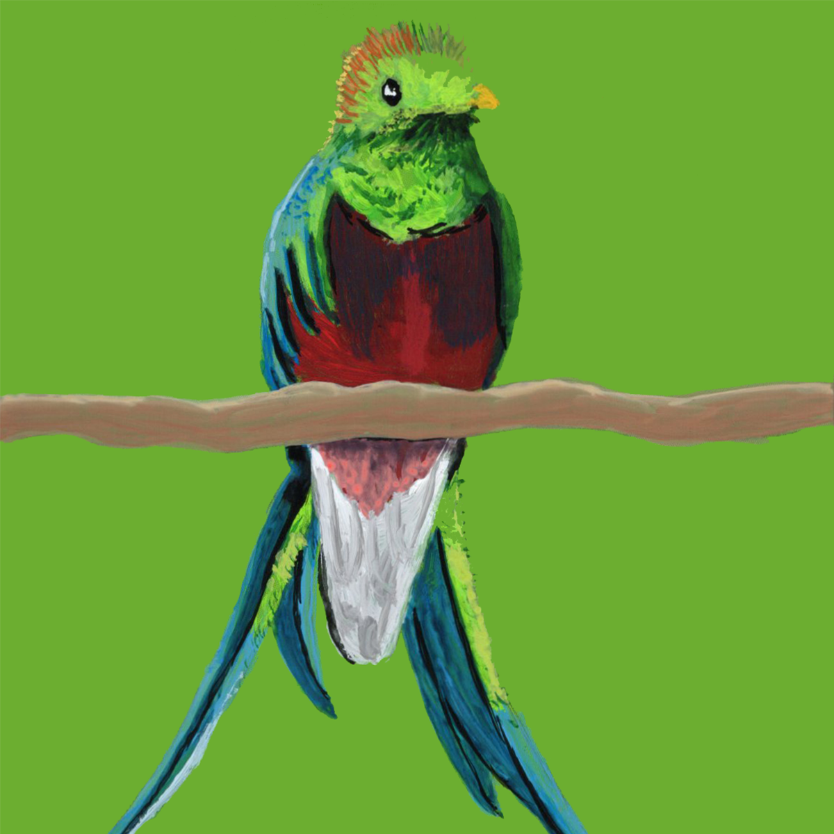 Resplendent Quetzal Pantone