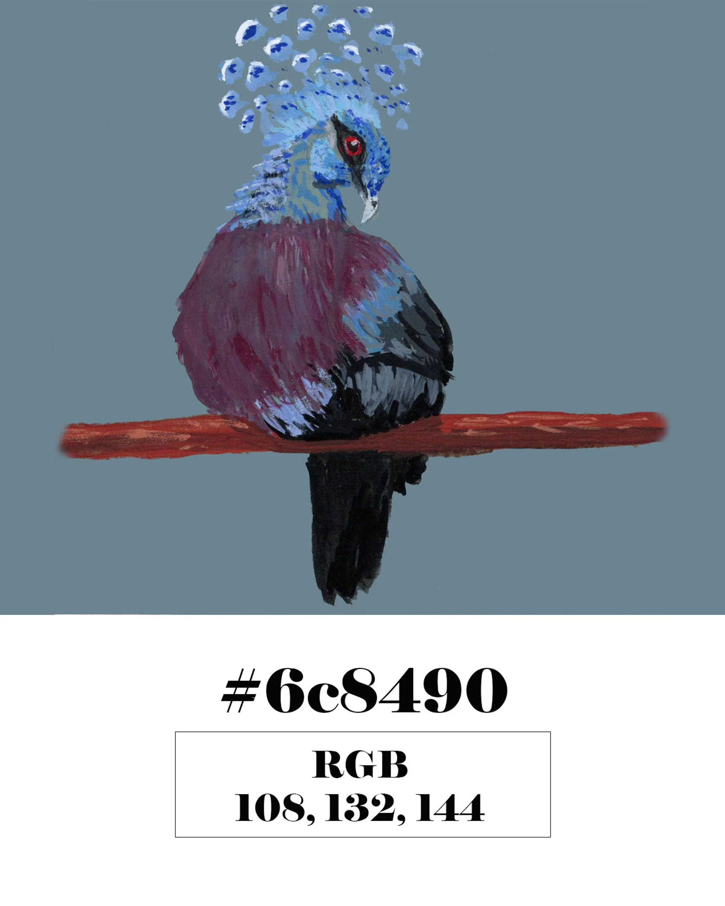 Victoria Crowned Pigeon