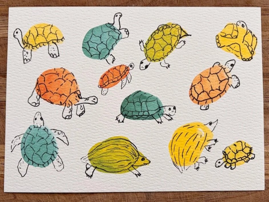 Turtules+photo.jpg