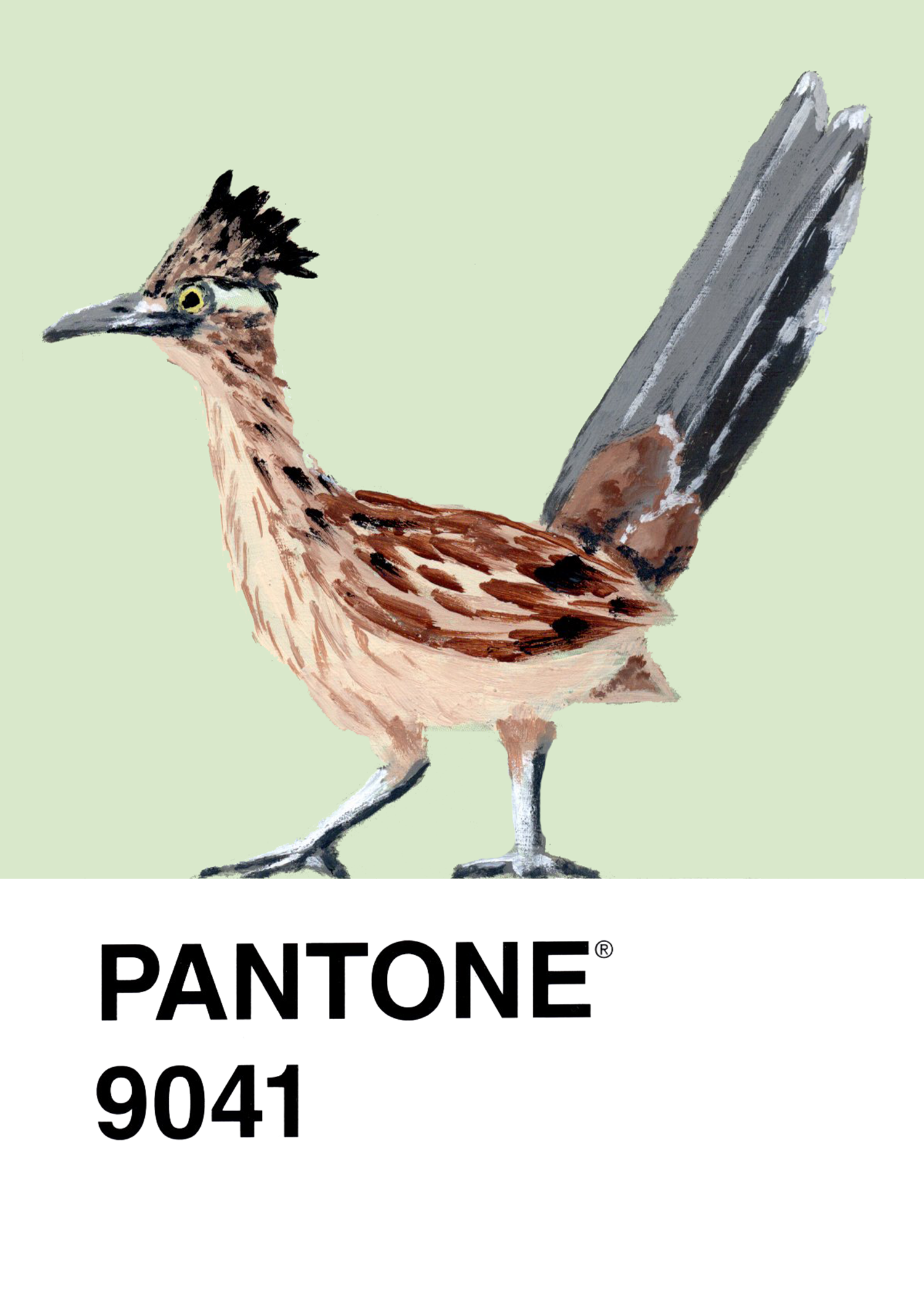 Greater Roadrunner