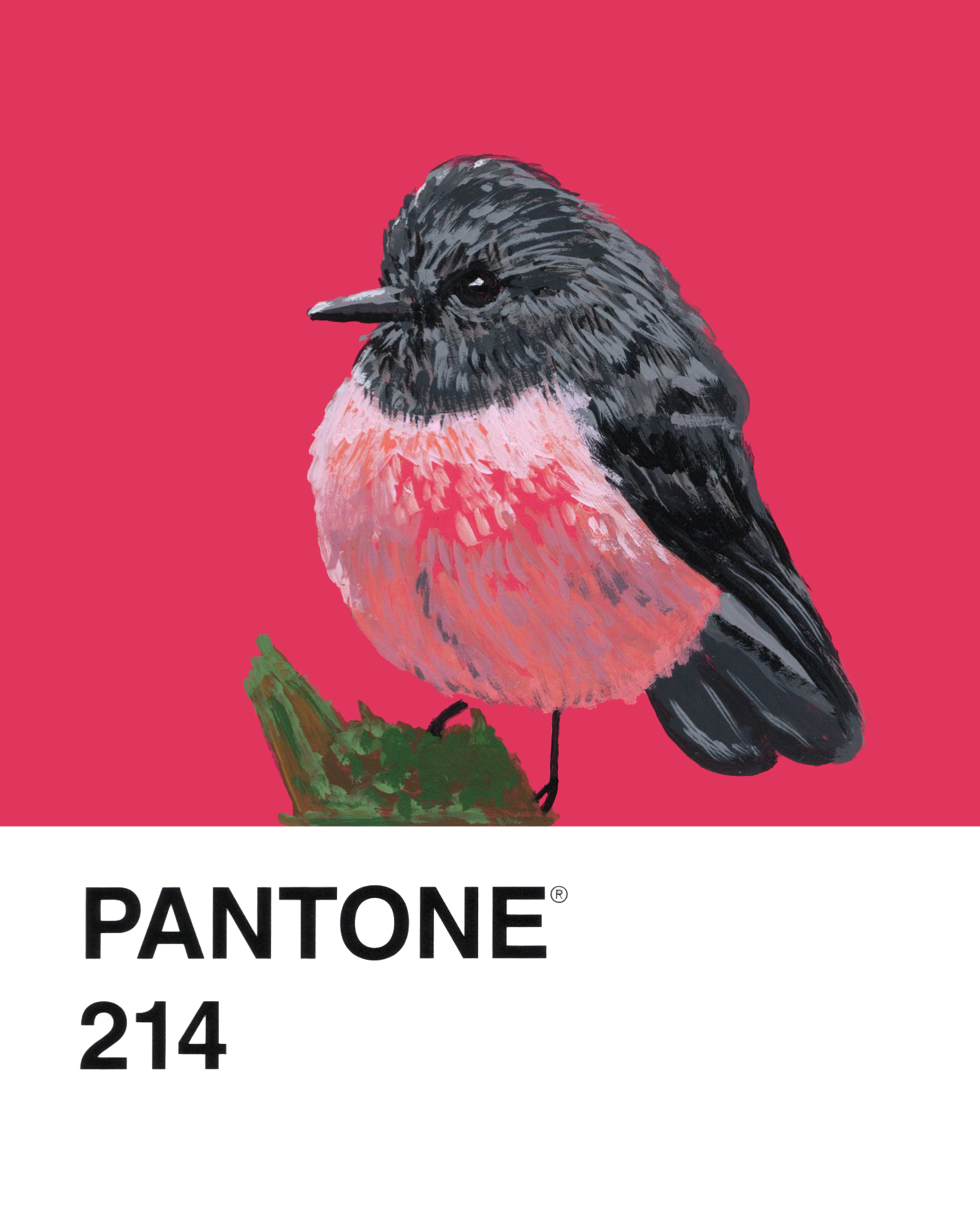 Pink Robin - 8x10.png