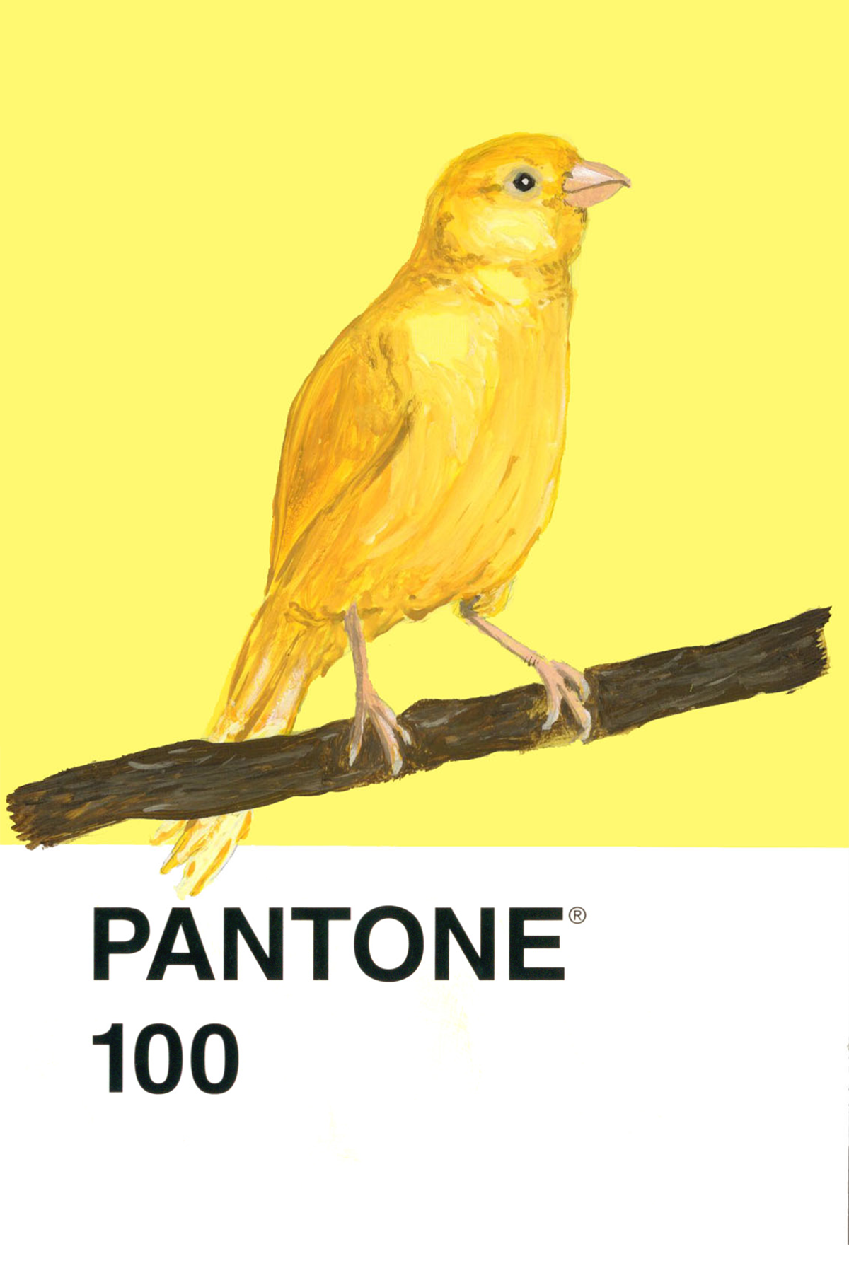 Canary - 4x6.png