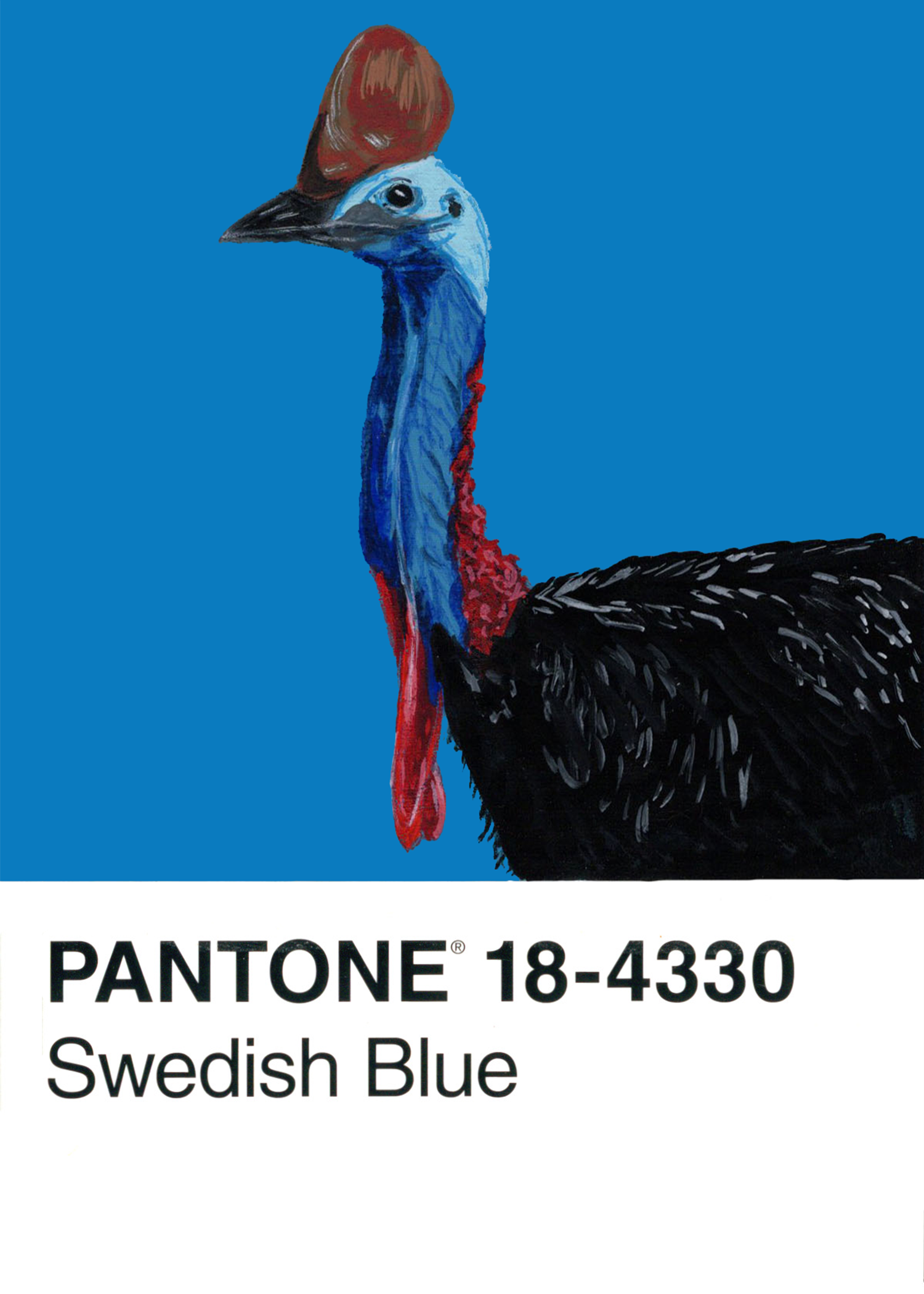 Cassowary