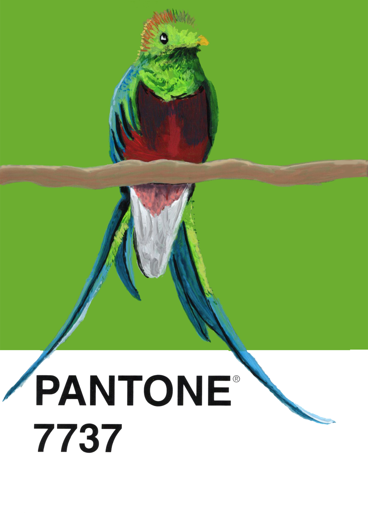 Resplendent Quetzal
