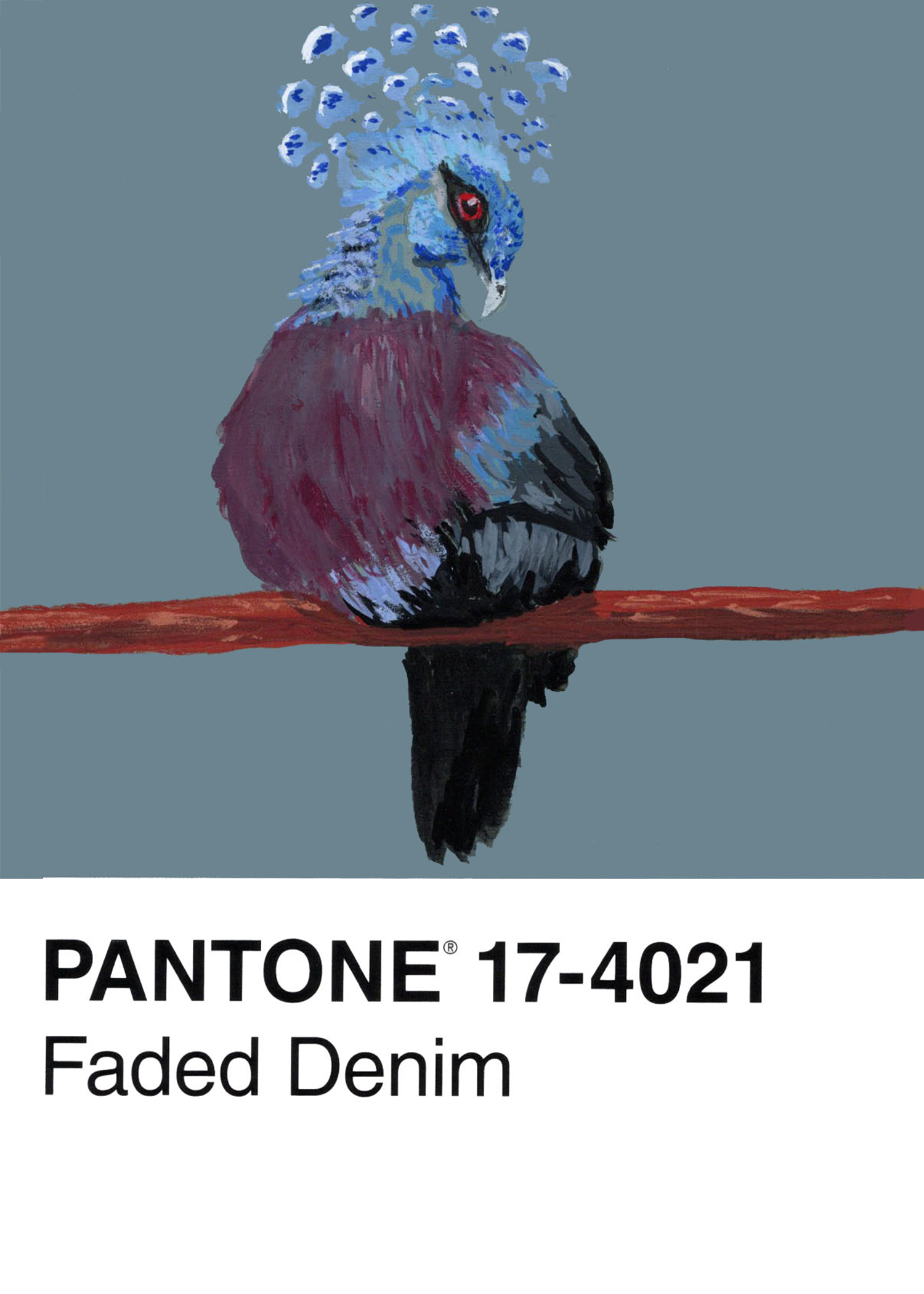 Victoria Crowned Pigeon
