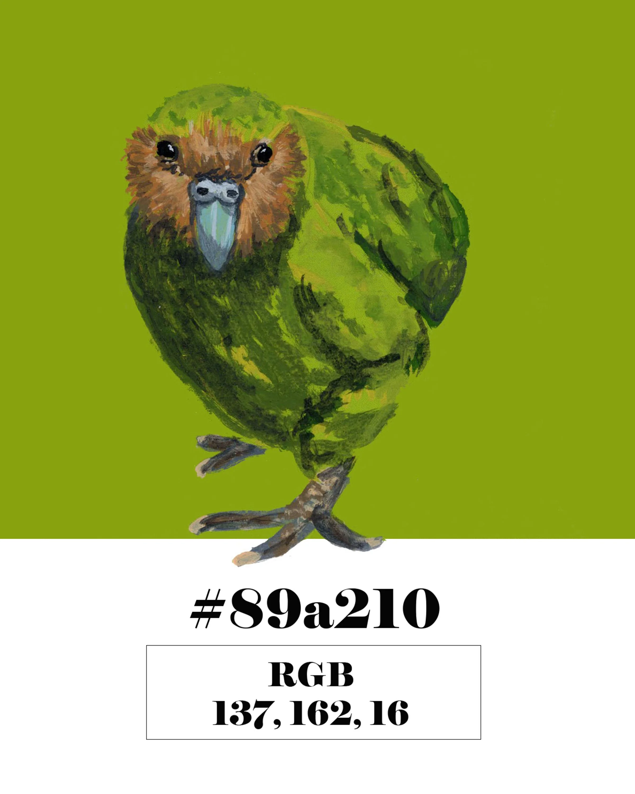 Kakapo