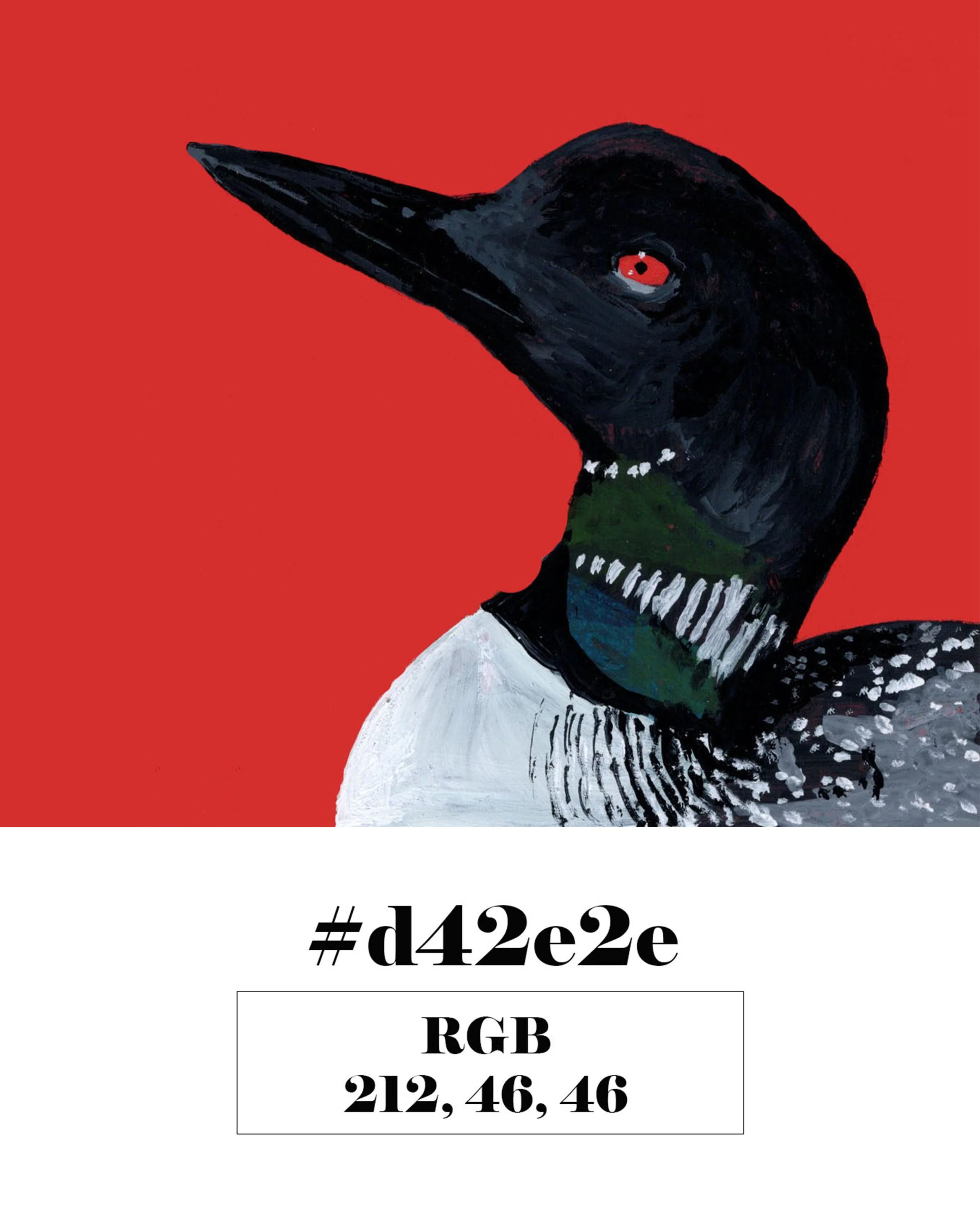 Common Loon