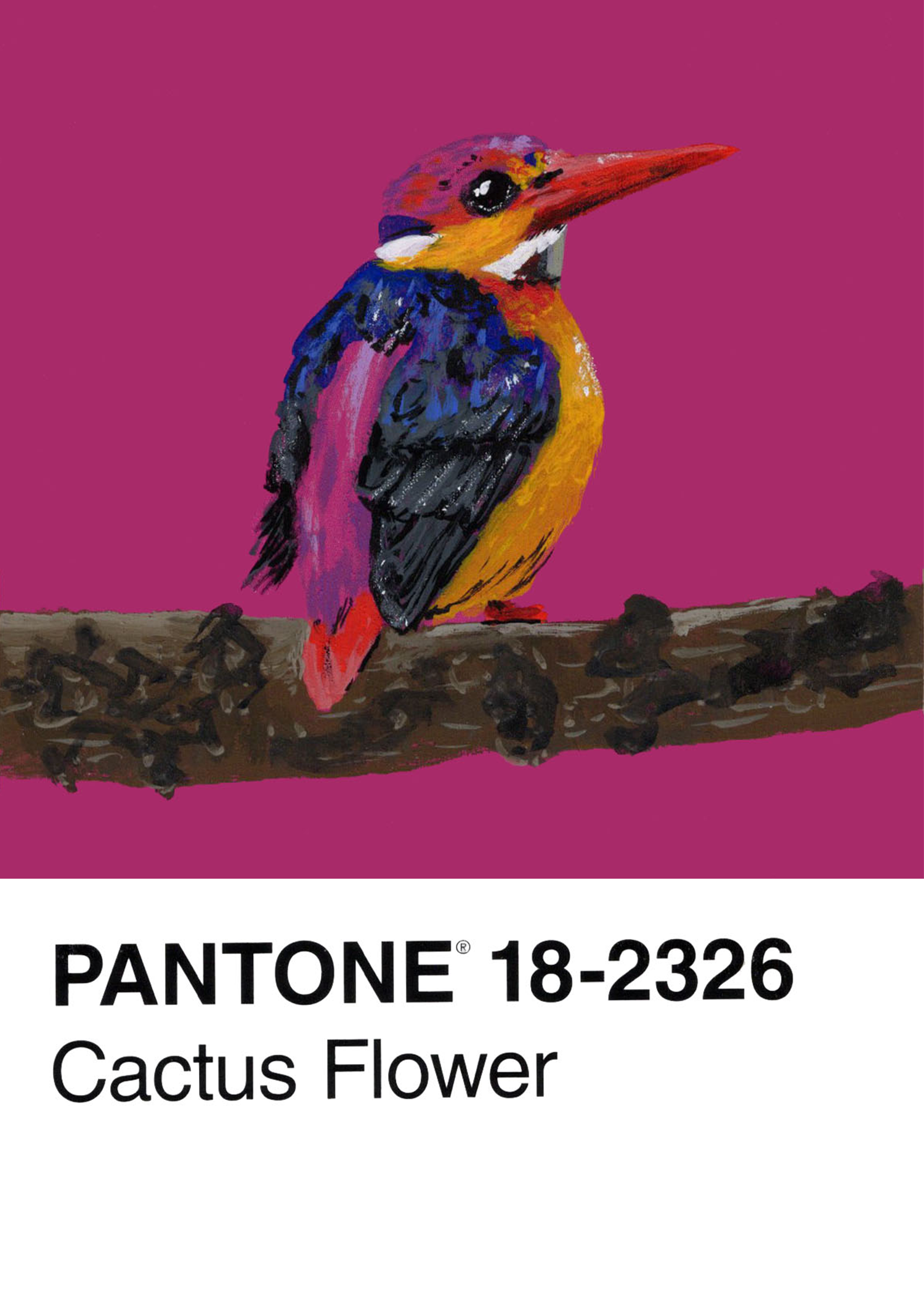 Philippine Dwarf Kingfisher