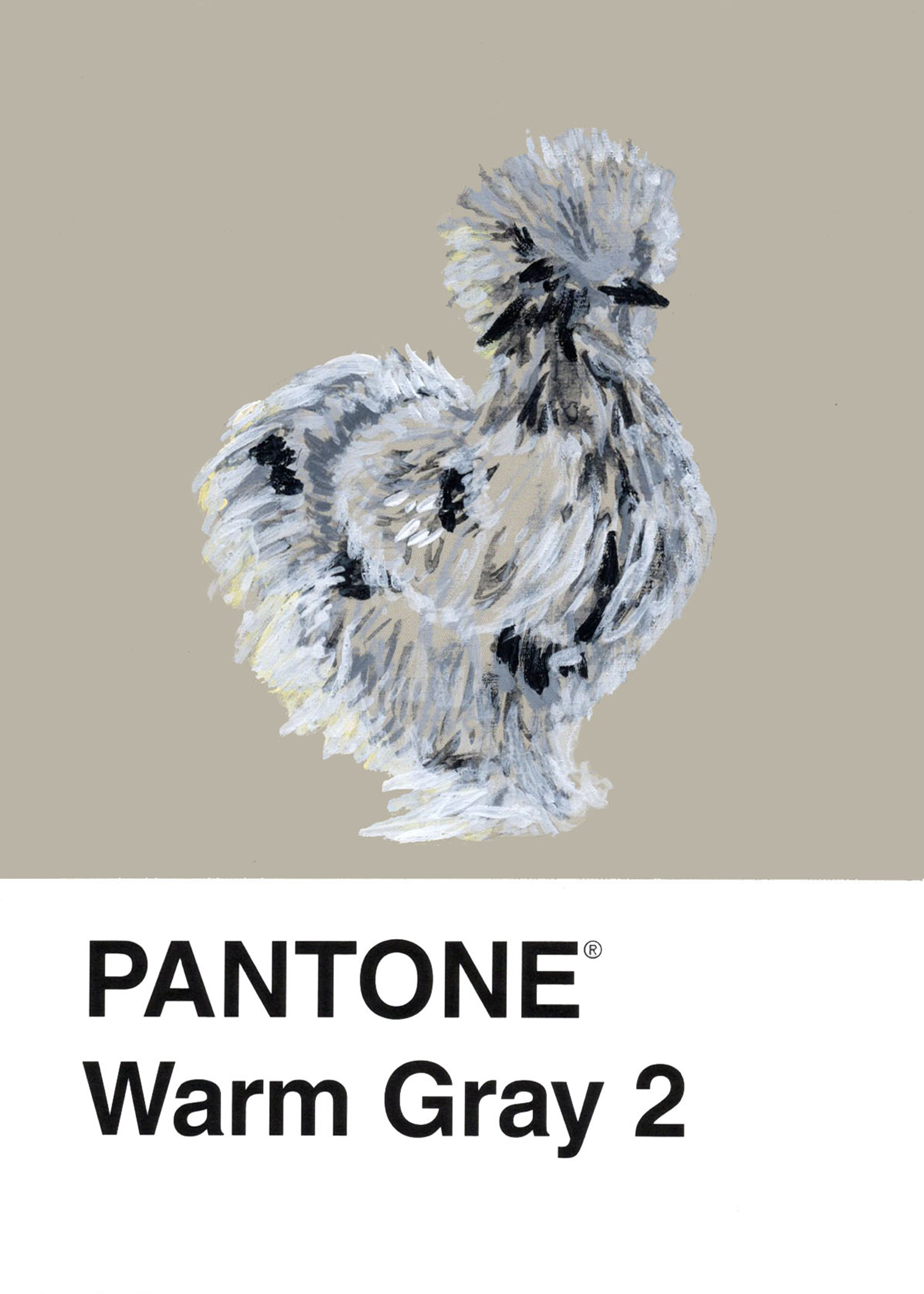 Silkie Chicken