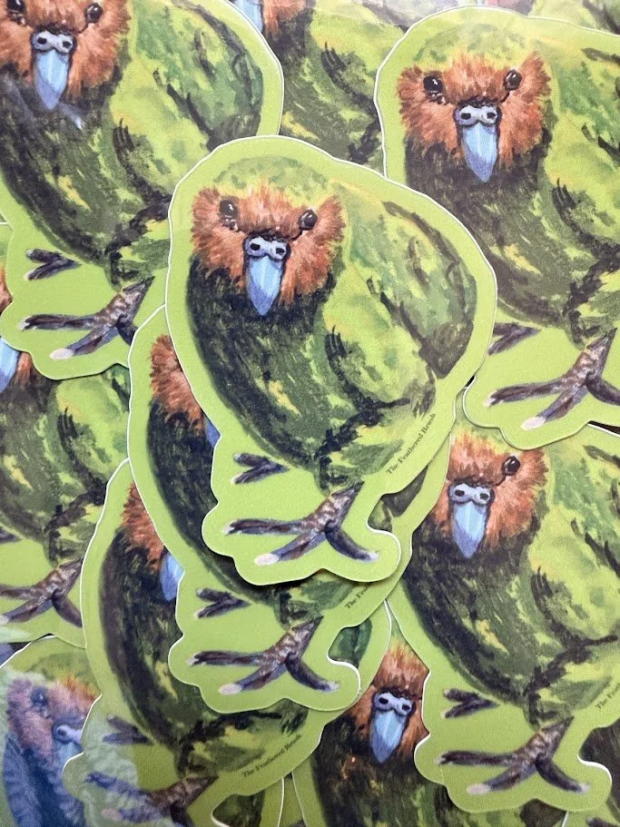 Kakapo.jpg