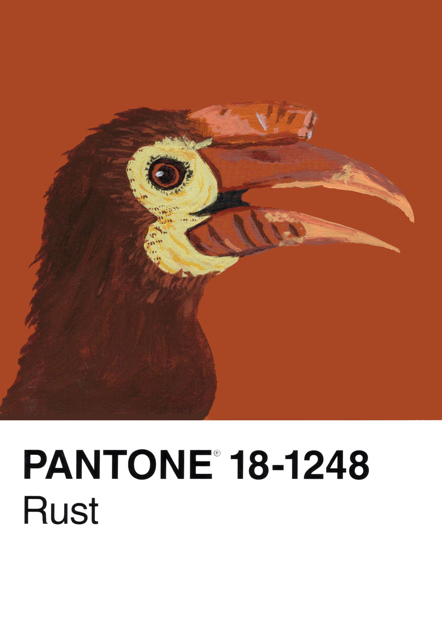 Rufous-headed Hornbill