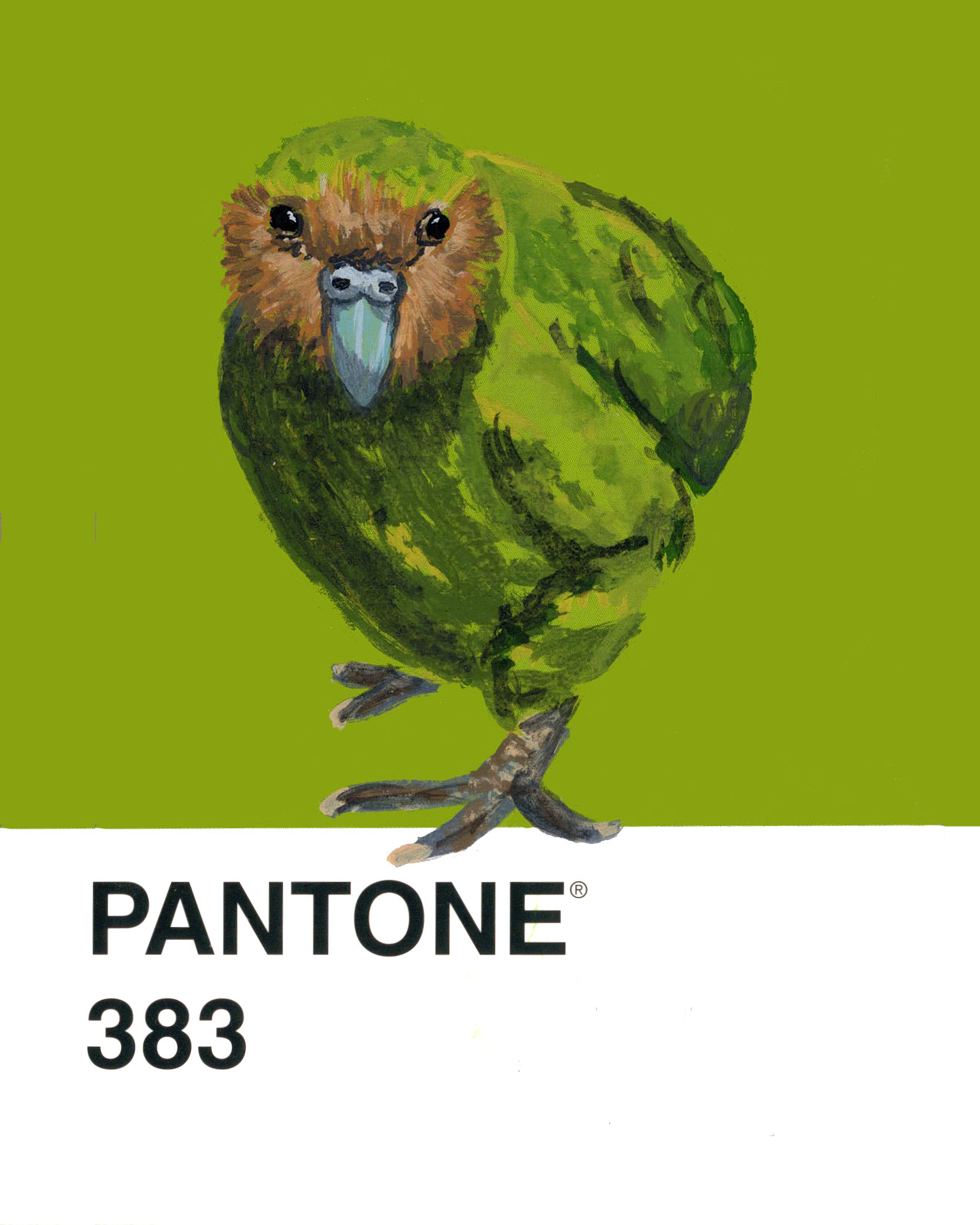 Kakapo - 8x10.png