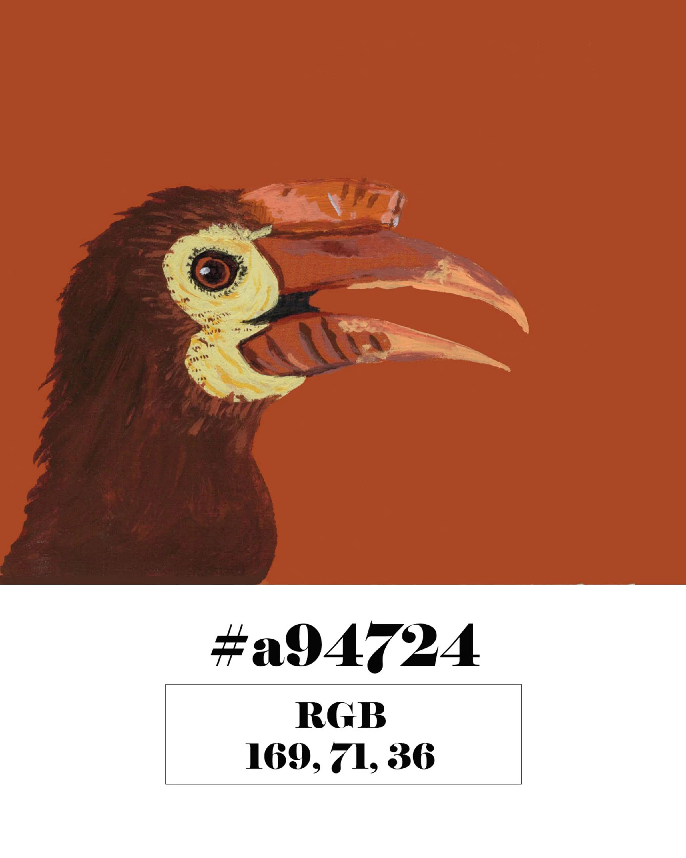 Rufus-headed Hornbill
