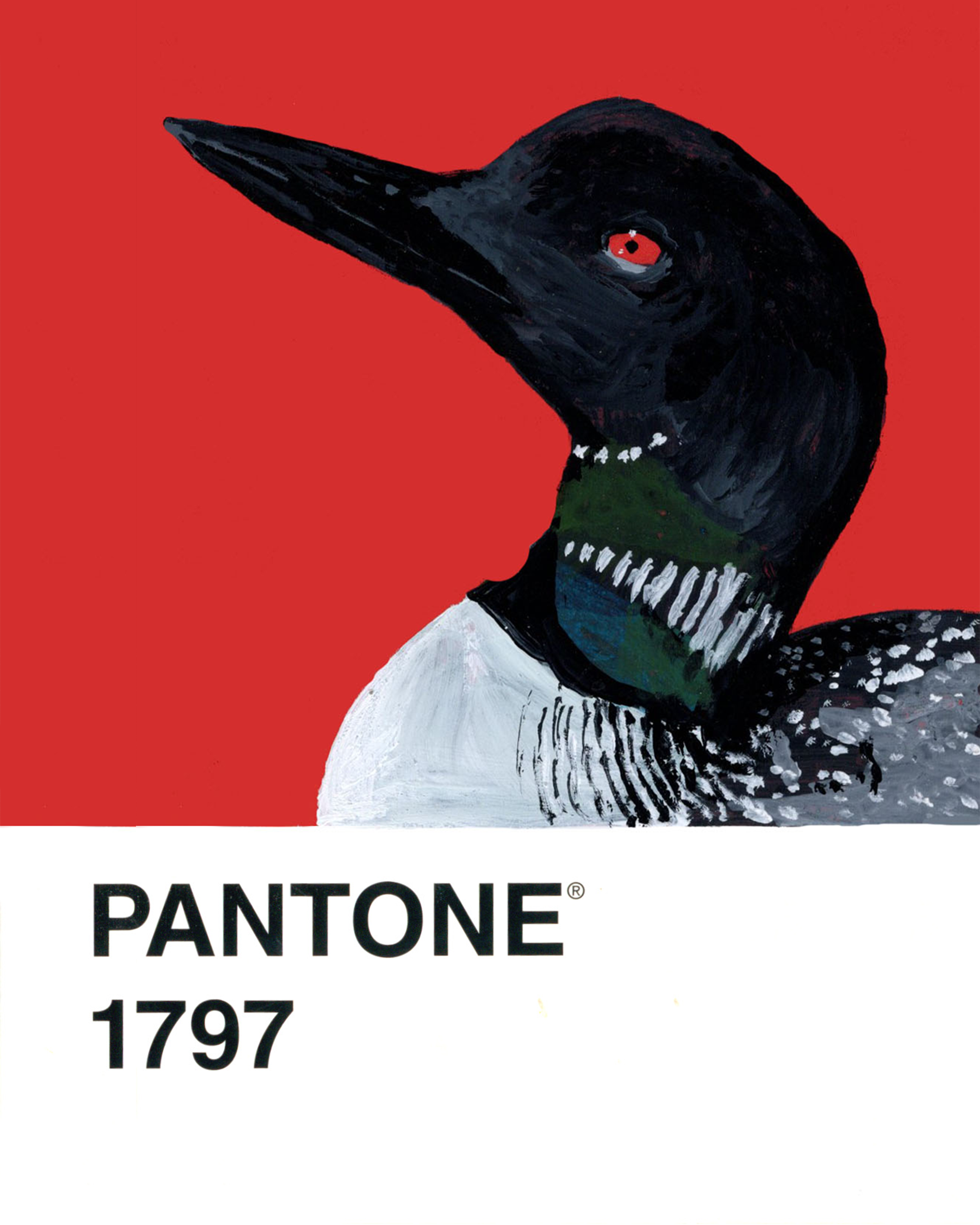Common Loon - 8x10.png