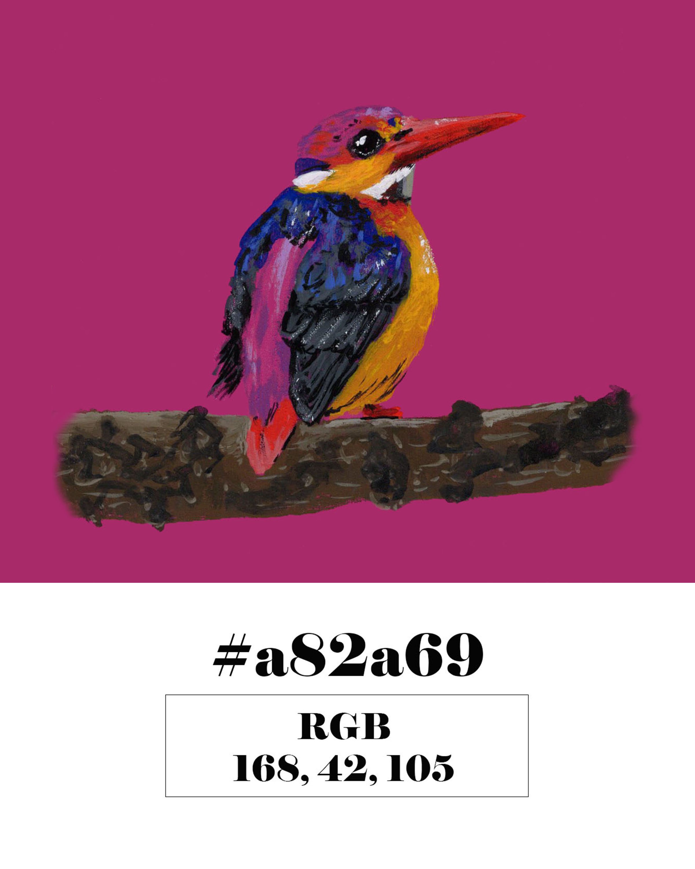 Philippine Dwarf Kingfisher