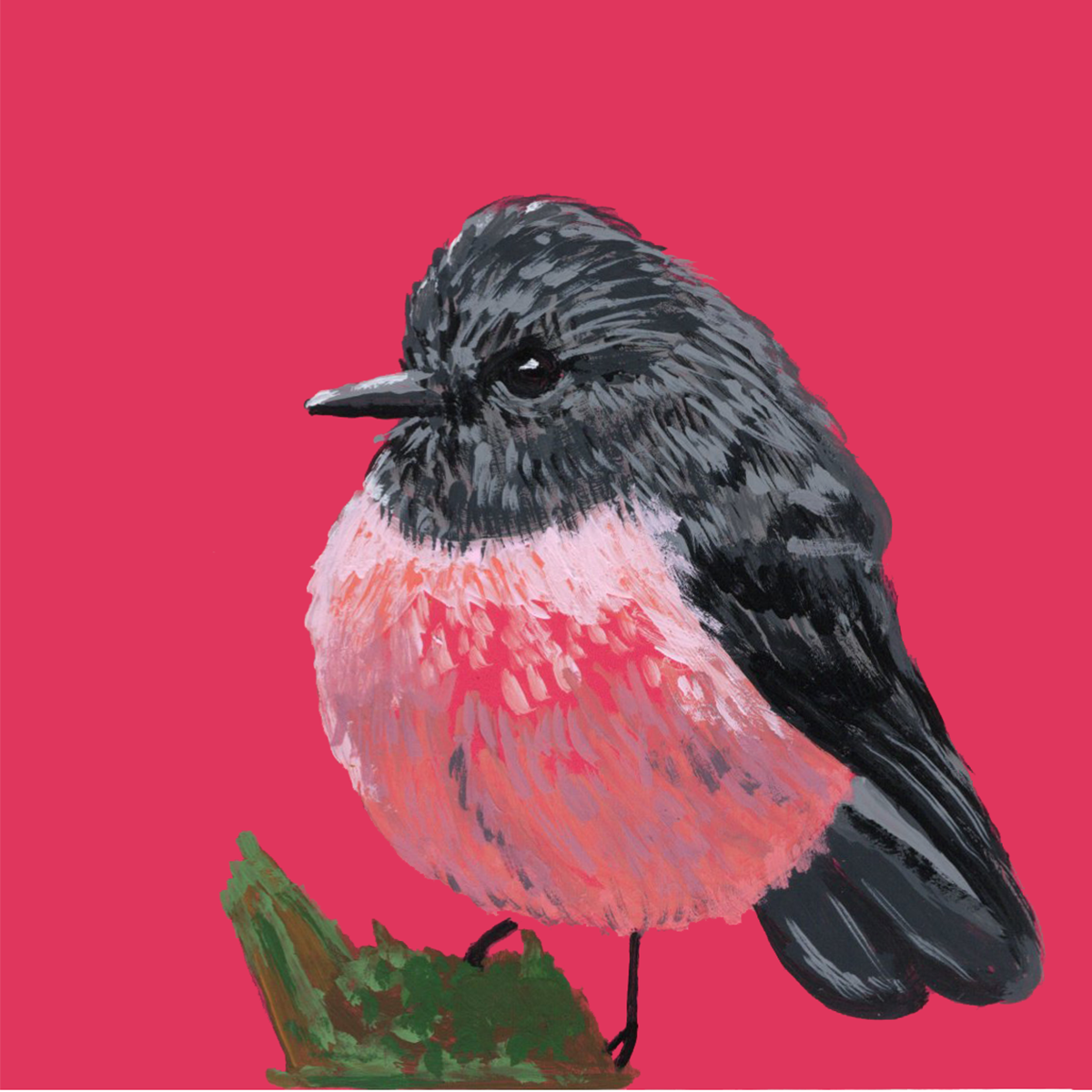 Pink Robin Pantone