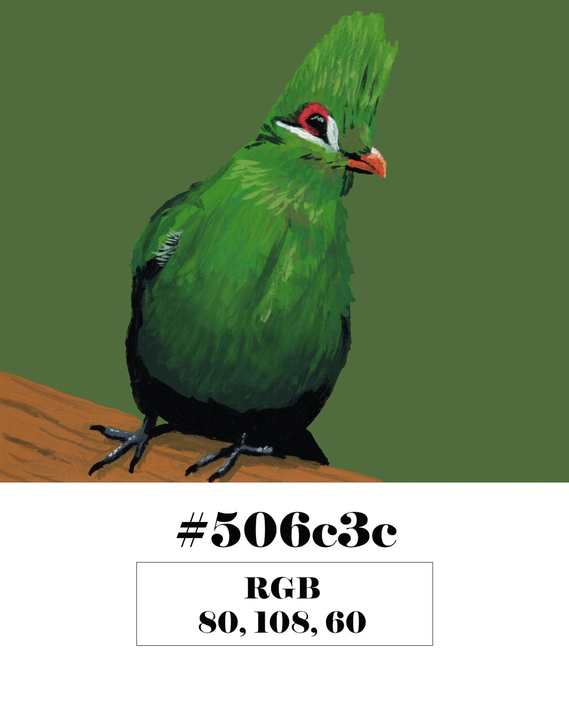 Guinea Turaco