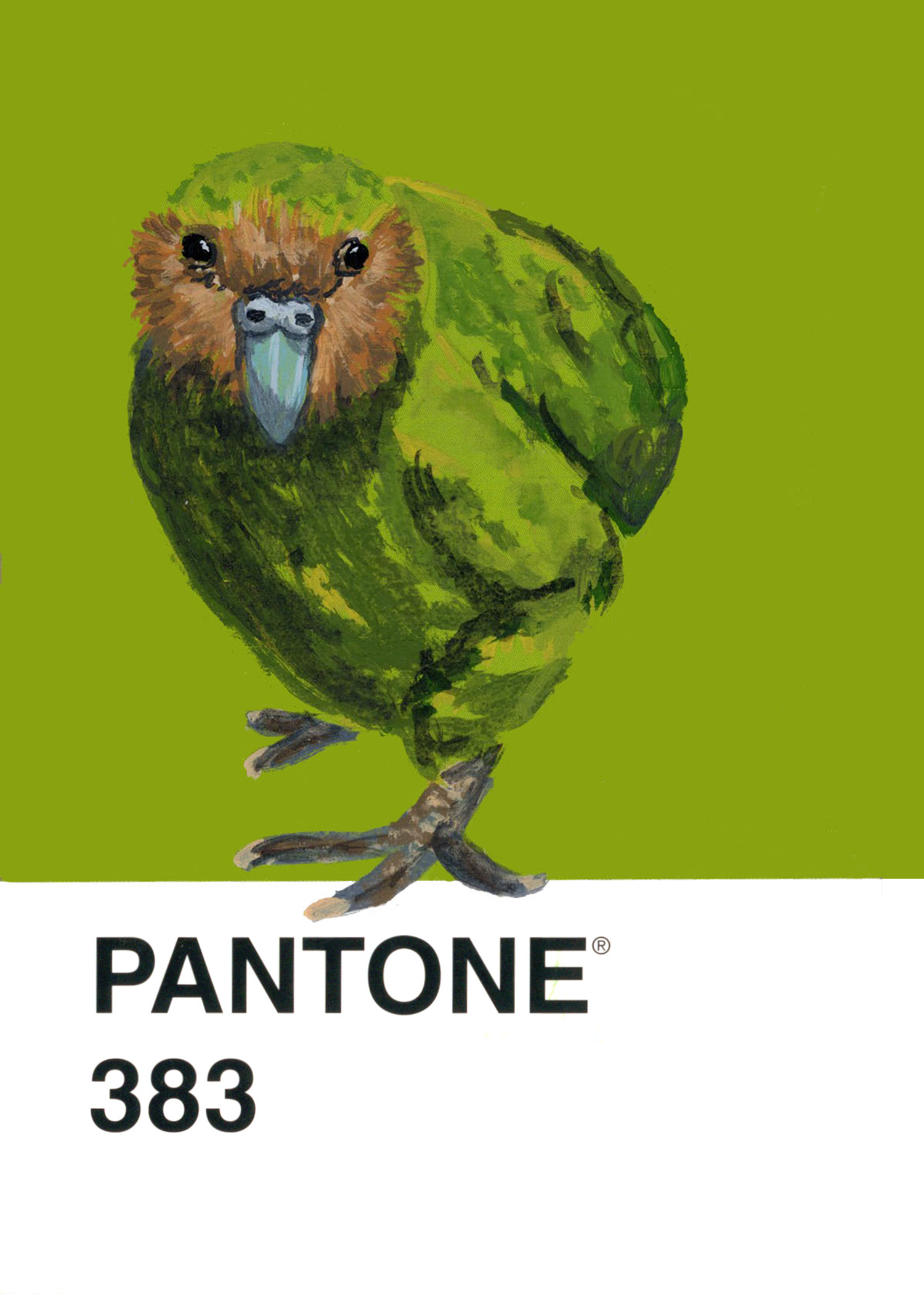 Kākāpō