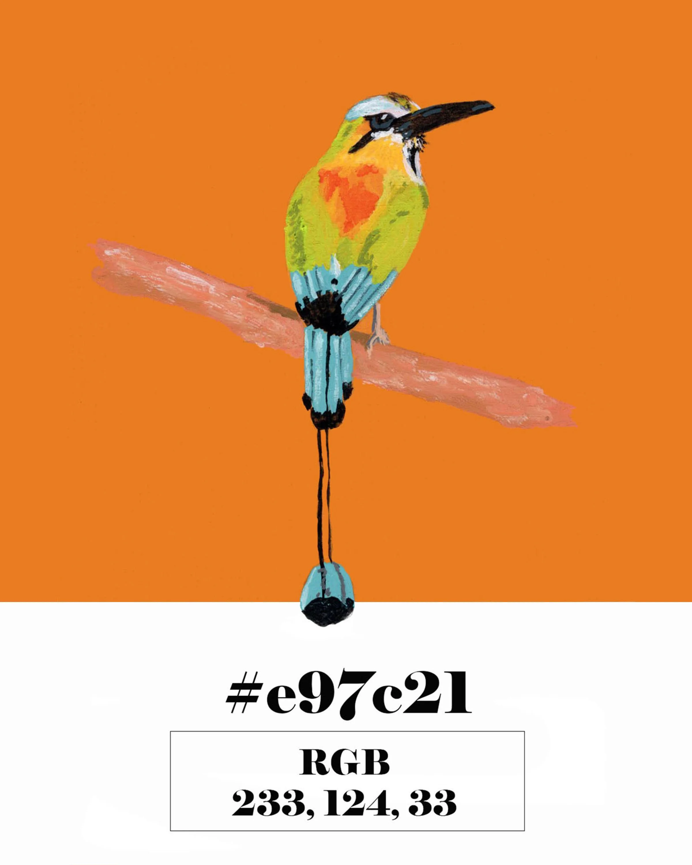 Turquoise-browed Motmot