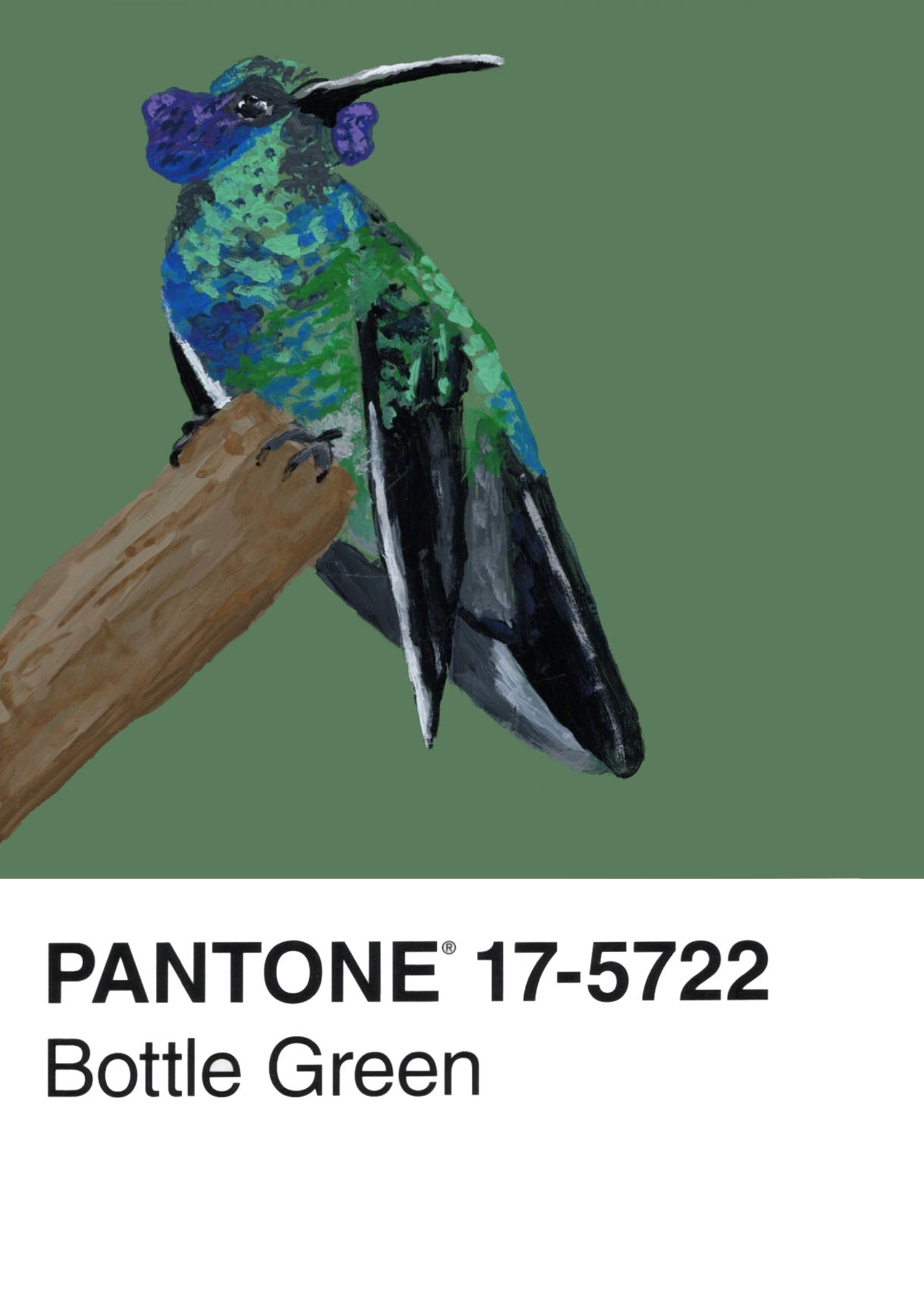 Mexican Violetear