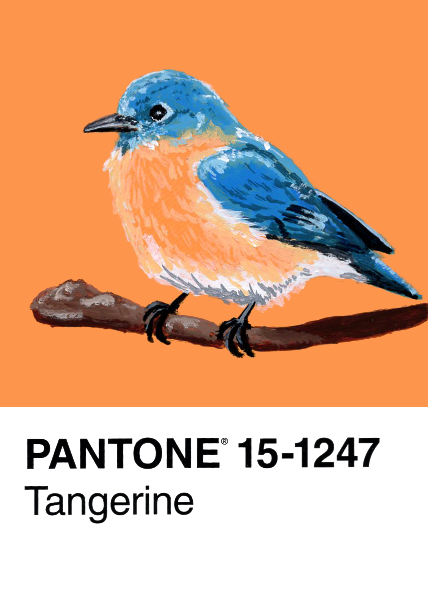 Eastern Bluebird