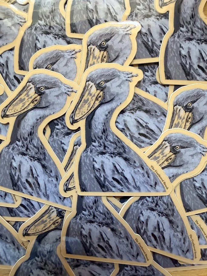 Shoebill Stork.jpg