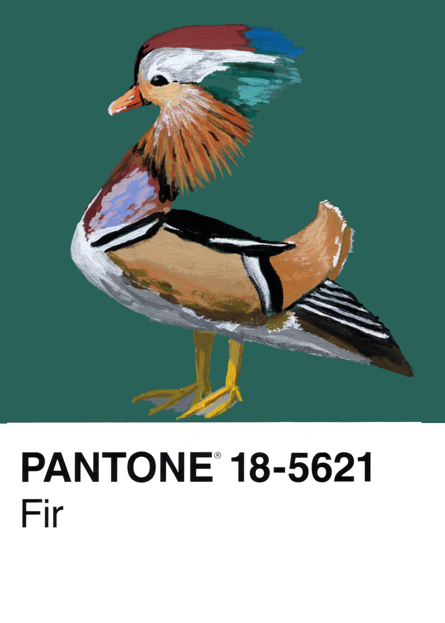 Mandarin Duck