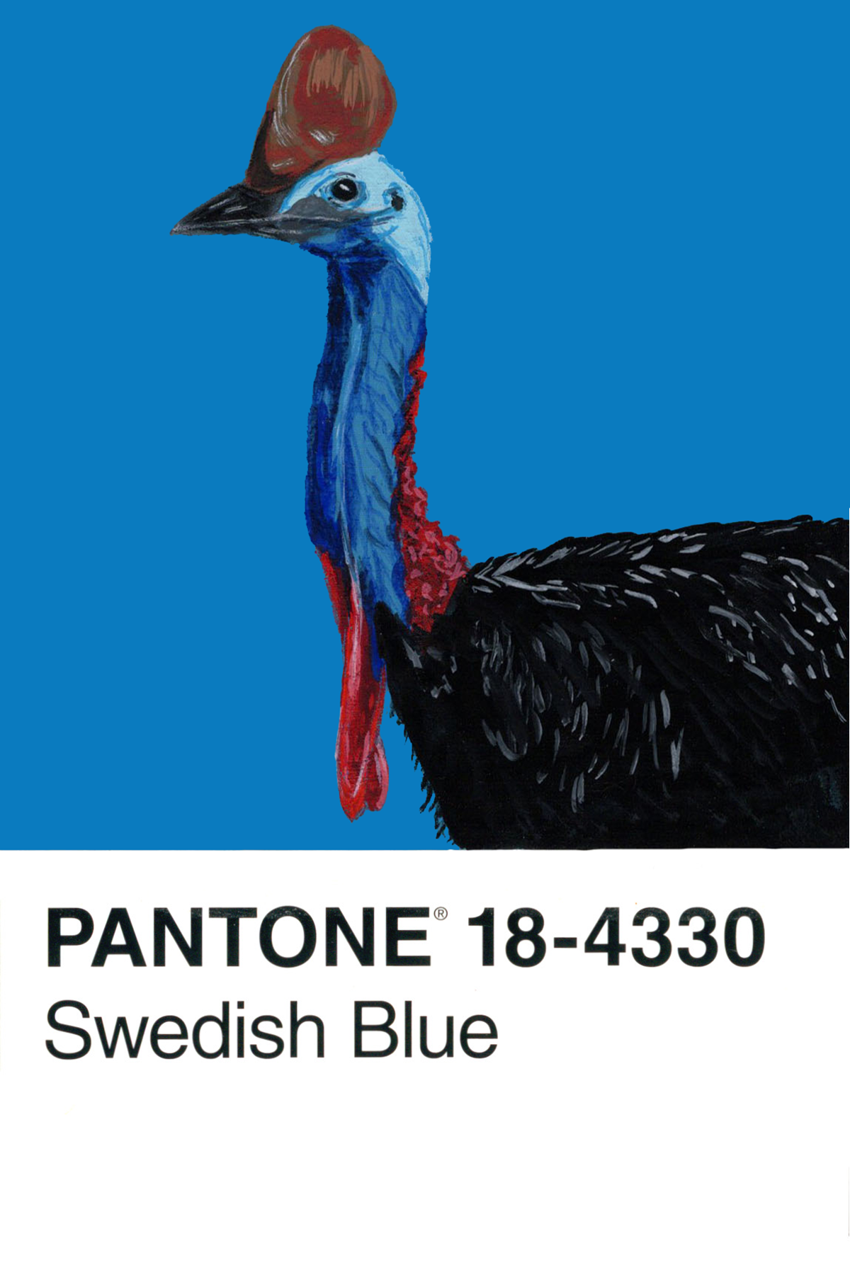Cassowary - 4x6.png