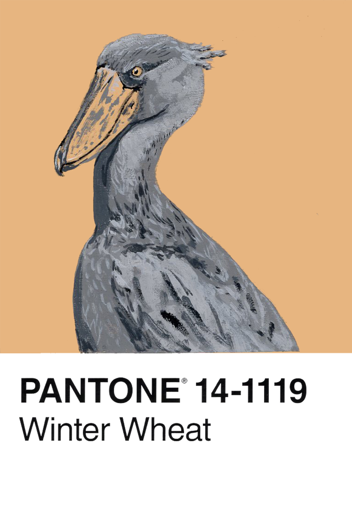Shoebill Stork - 4x6.png