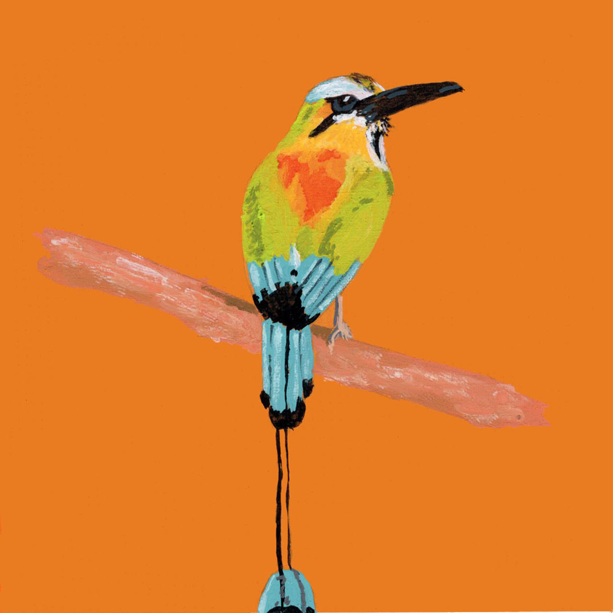 Turquoise-browed Motmot Pantone