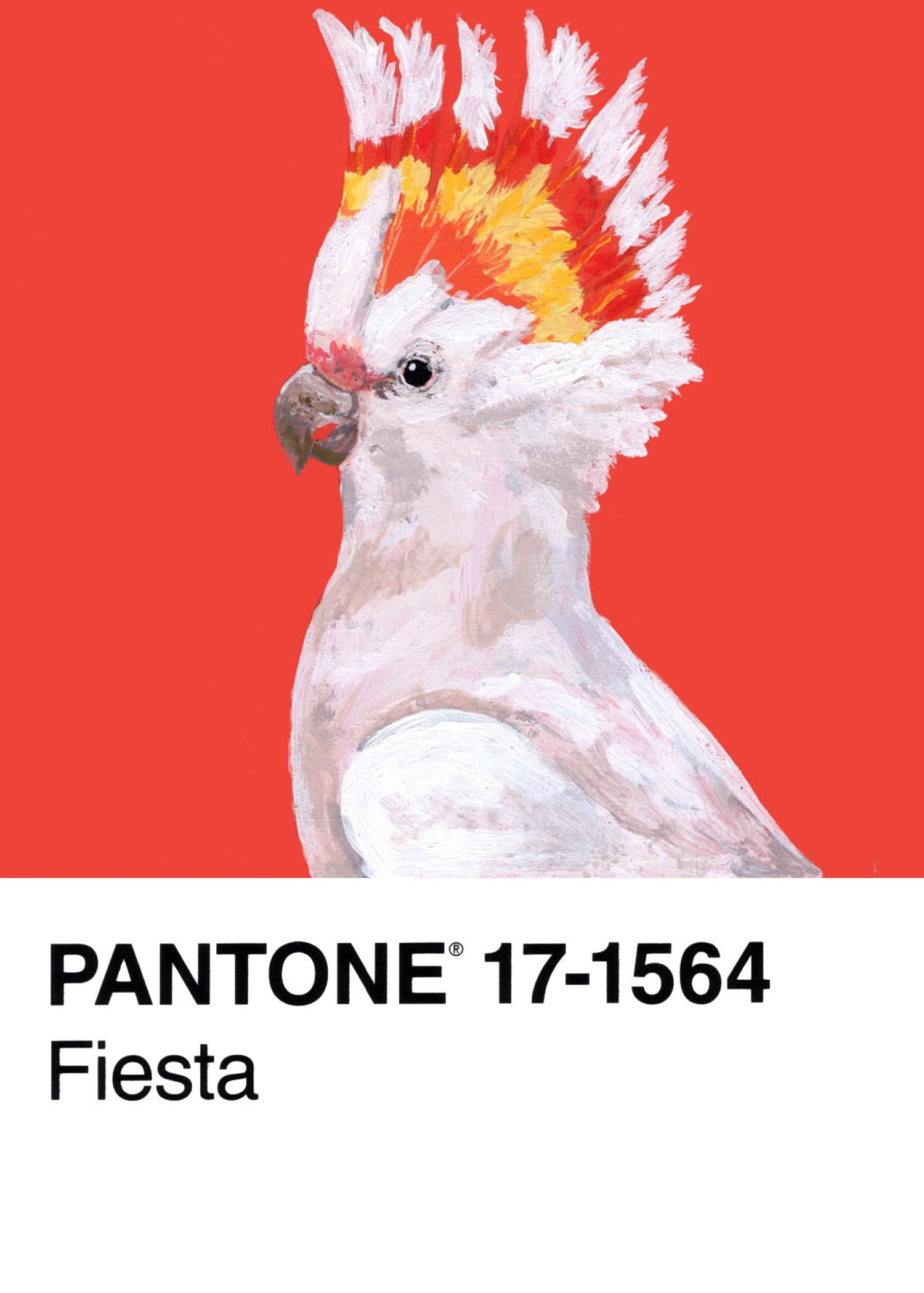 Major Mitchell's Cockatoo
