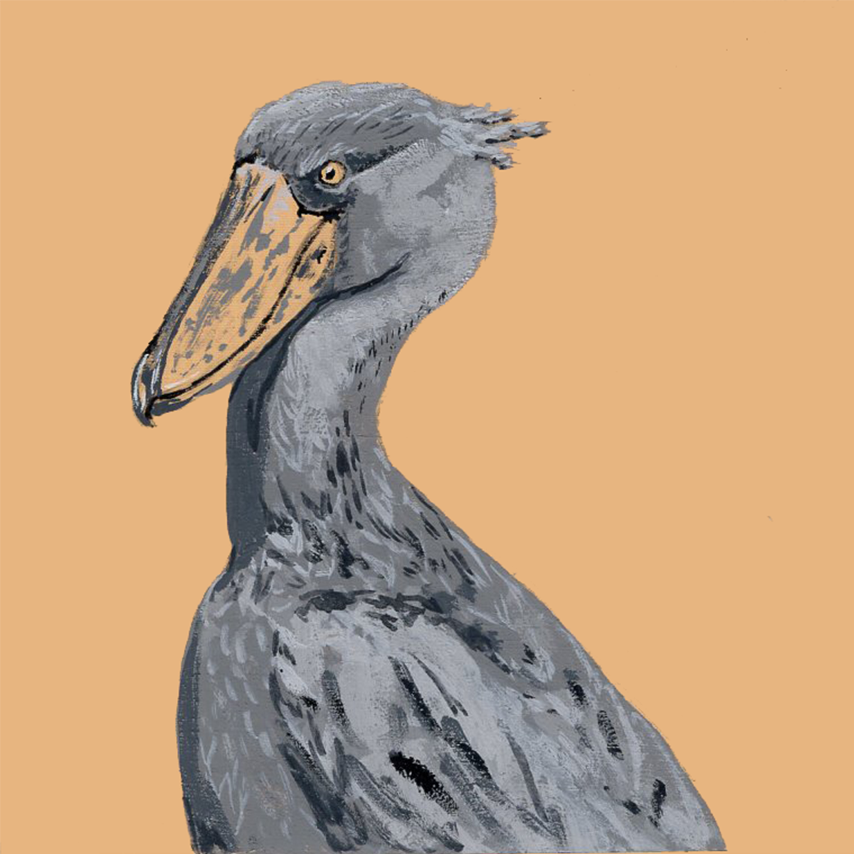 Shoebill Stork Pantone