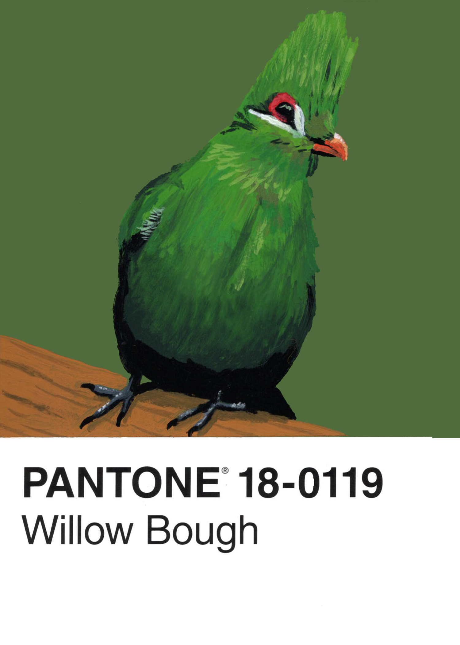 Guniea Turaco
