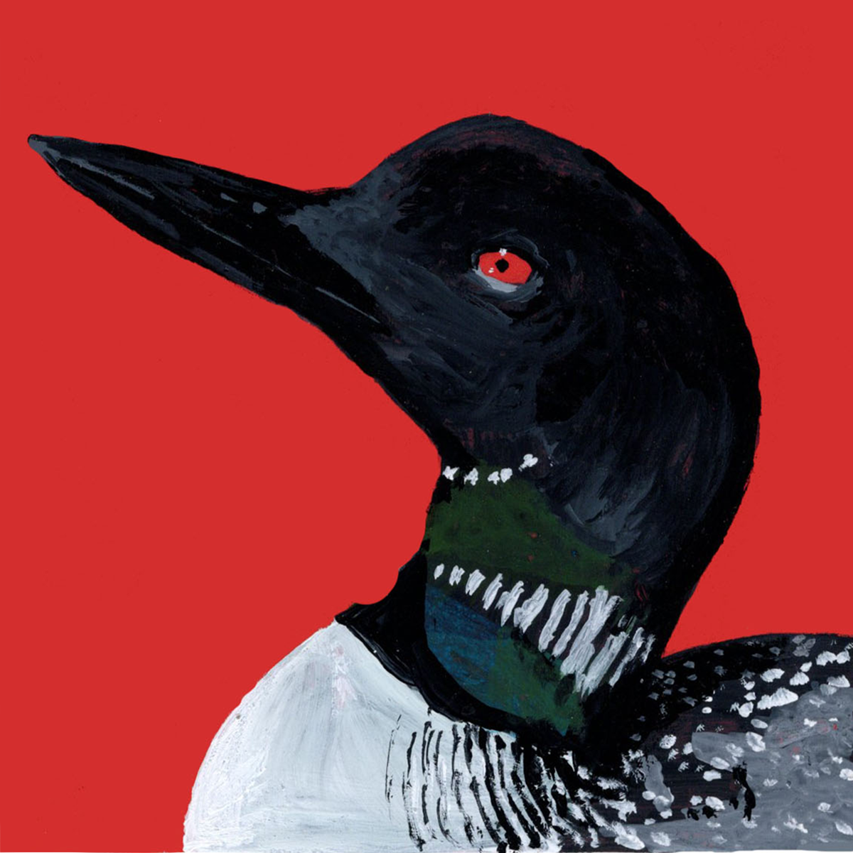 Common Loon Pantone