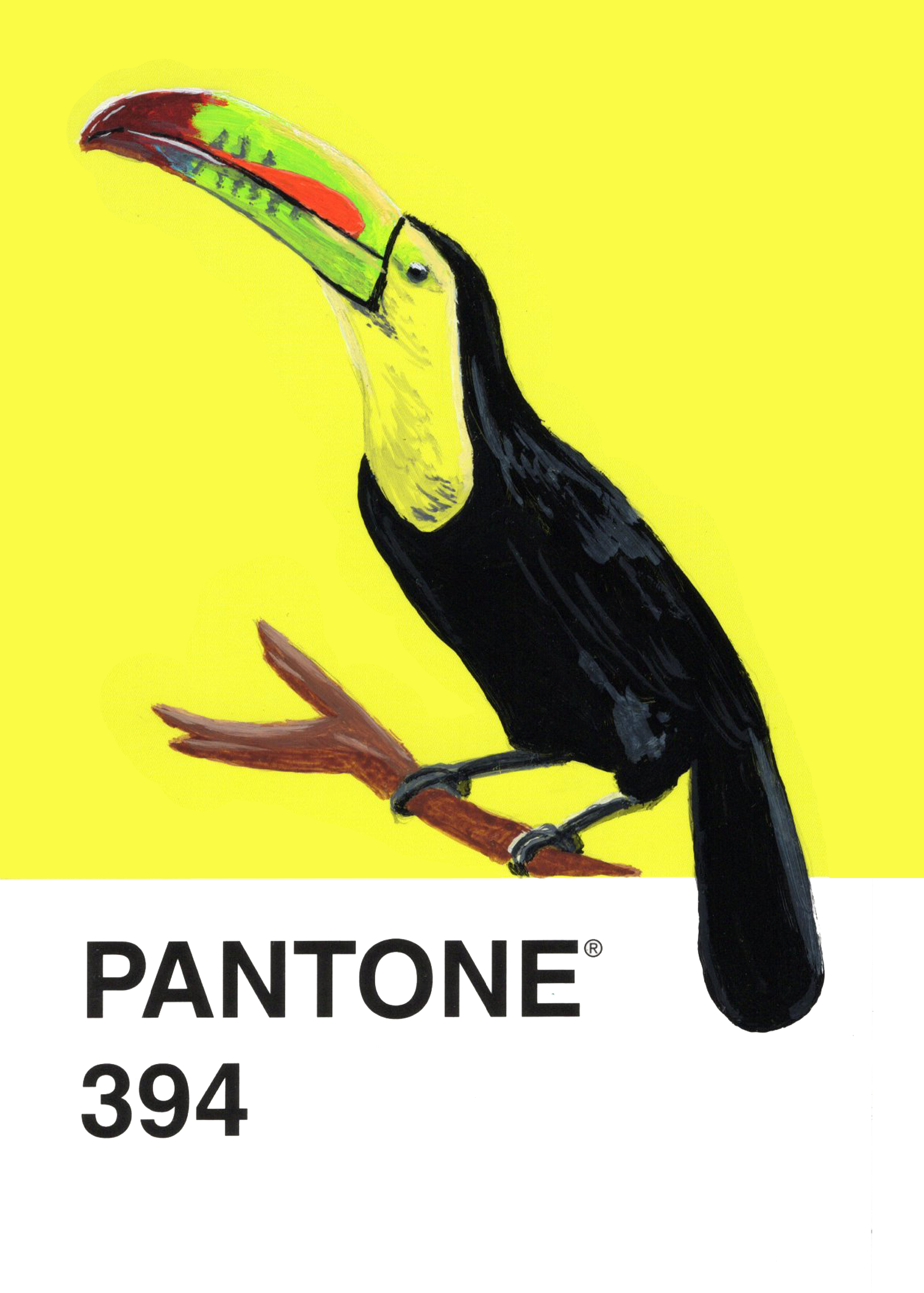Keel-billed Toucan