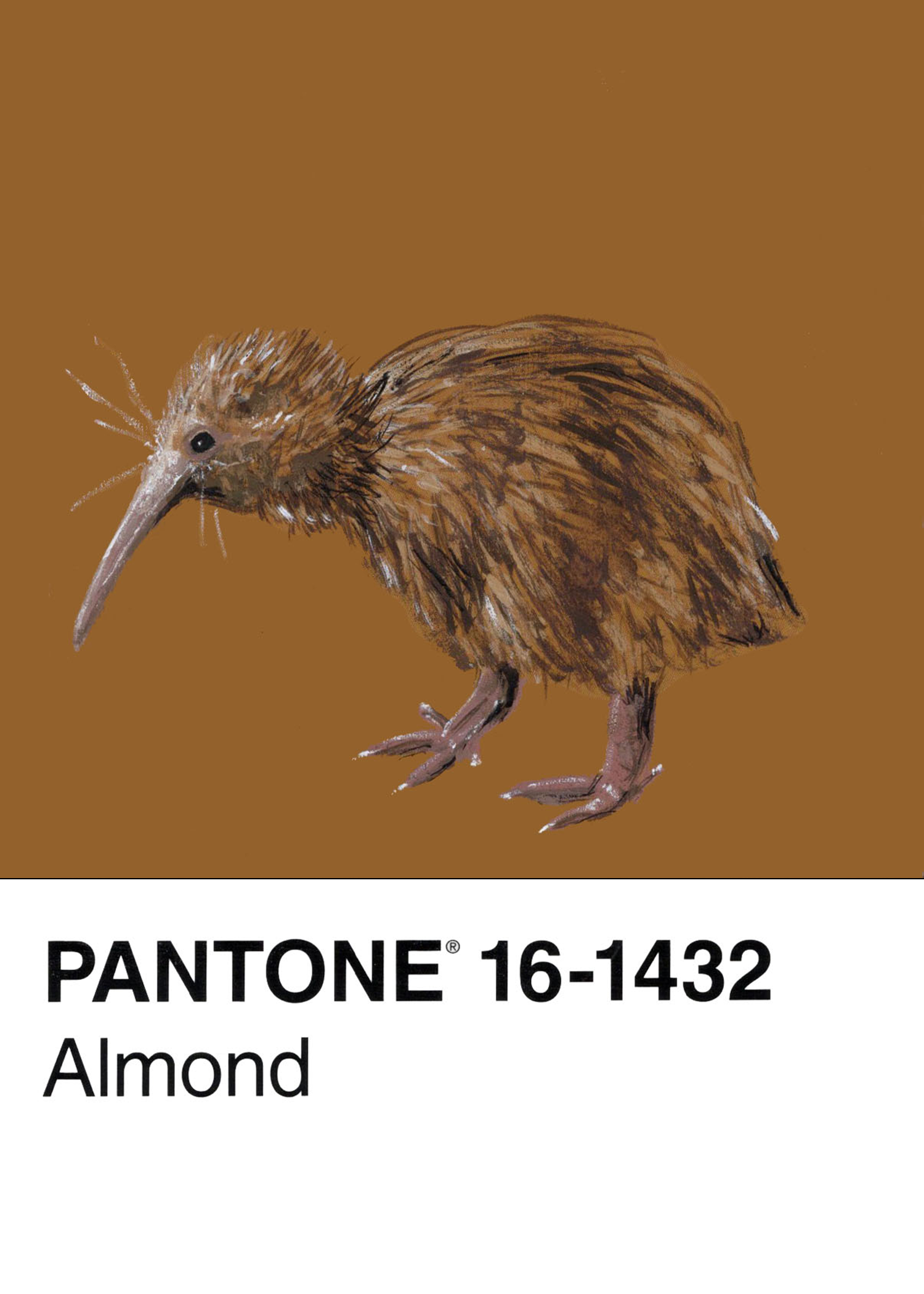 Kiwi