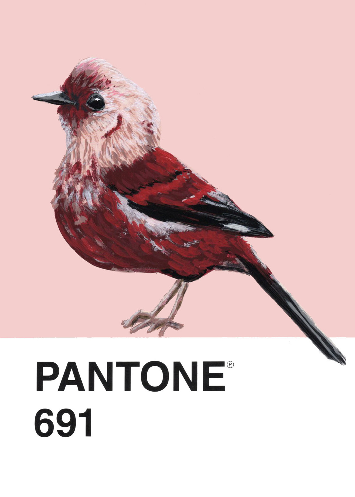 Pink-headed Warbler