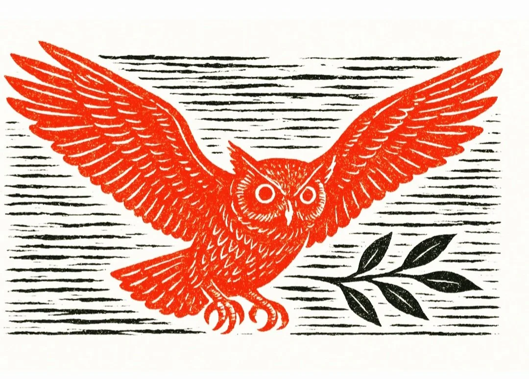 The Bird Degree