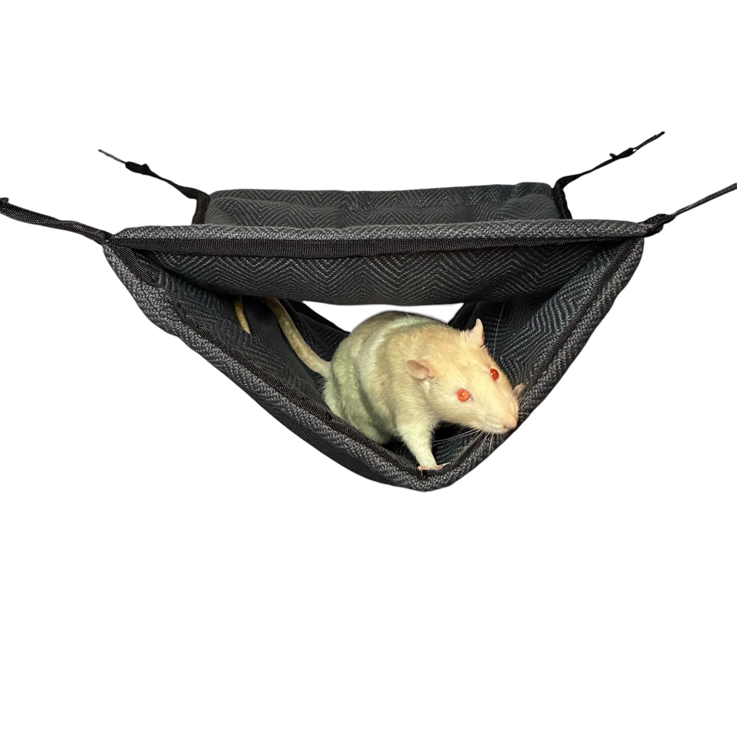 BunkBedGreyOzzy.jpg