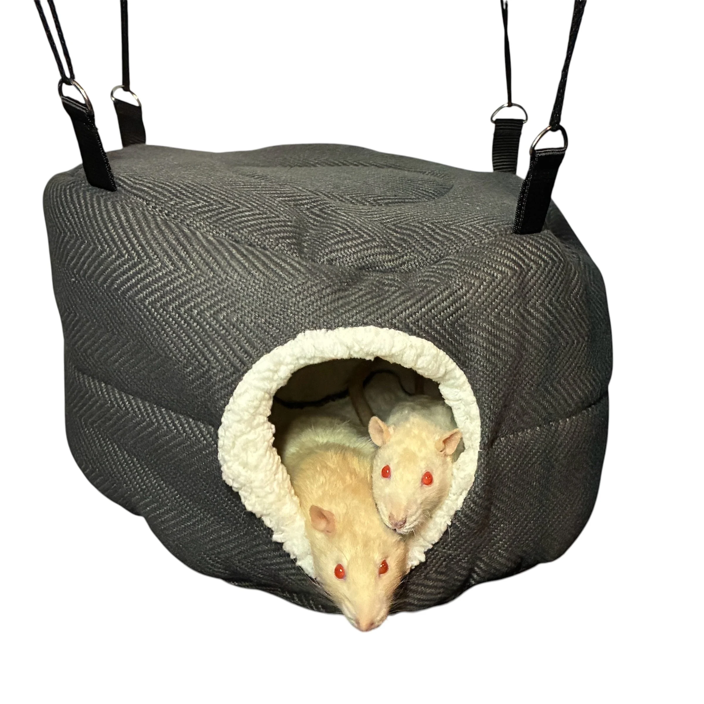 HiveHammockGreyBoys.jpg