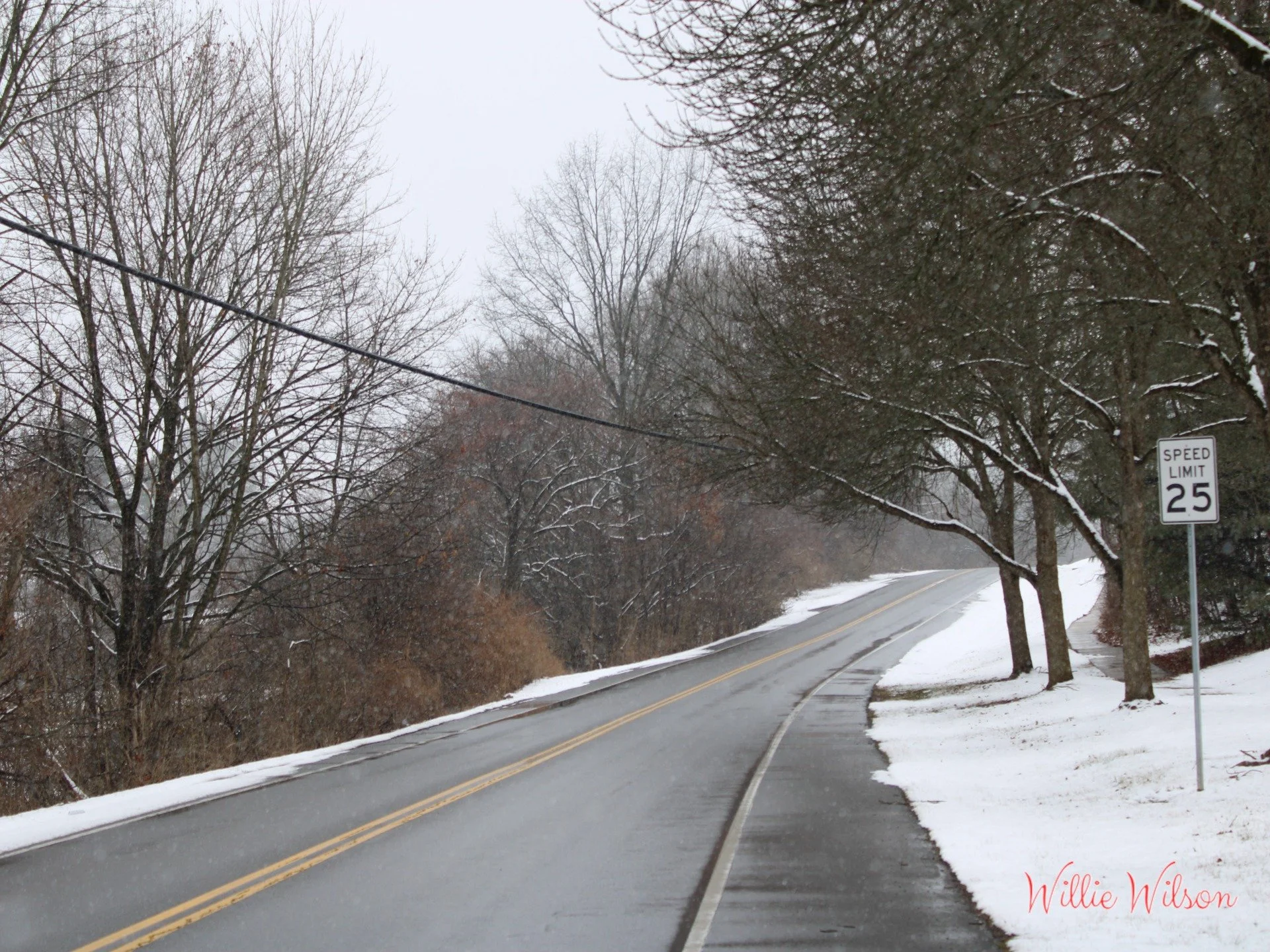 Snowy Landscapes

#snow #landscape #road #trees #white