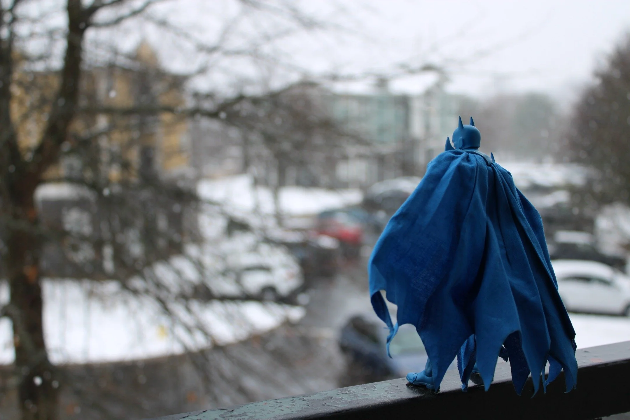 Cold Crusader by Willie Wilson

This was taken during the snowfall a while back.

#batman #dccomics #blue #snow #toyart #toyphotography #actionfigurephotography #photography